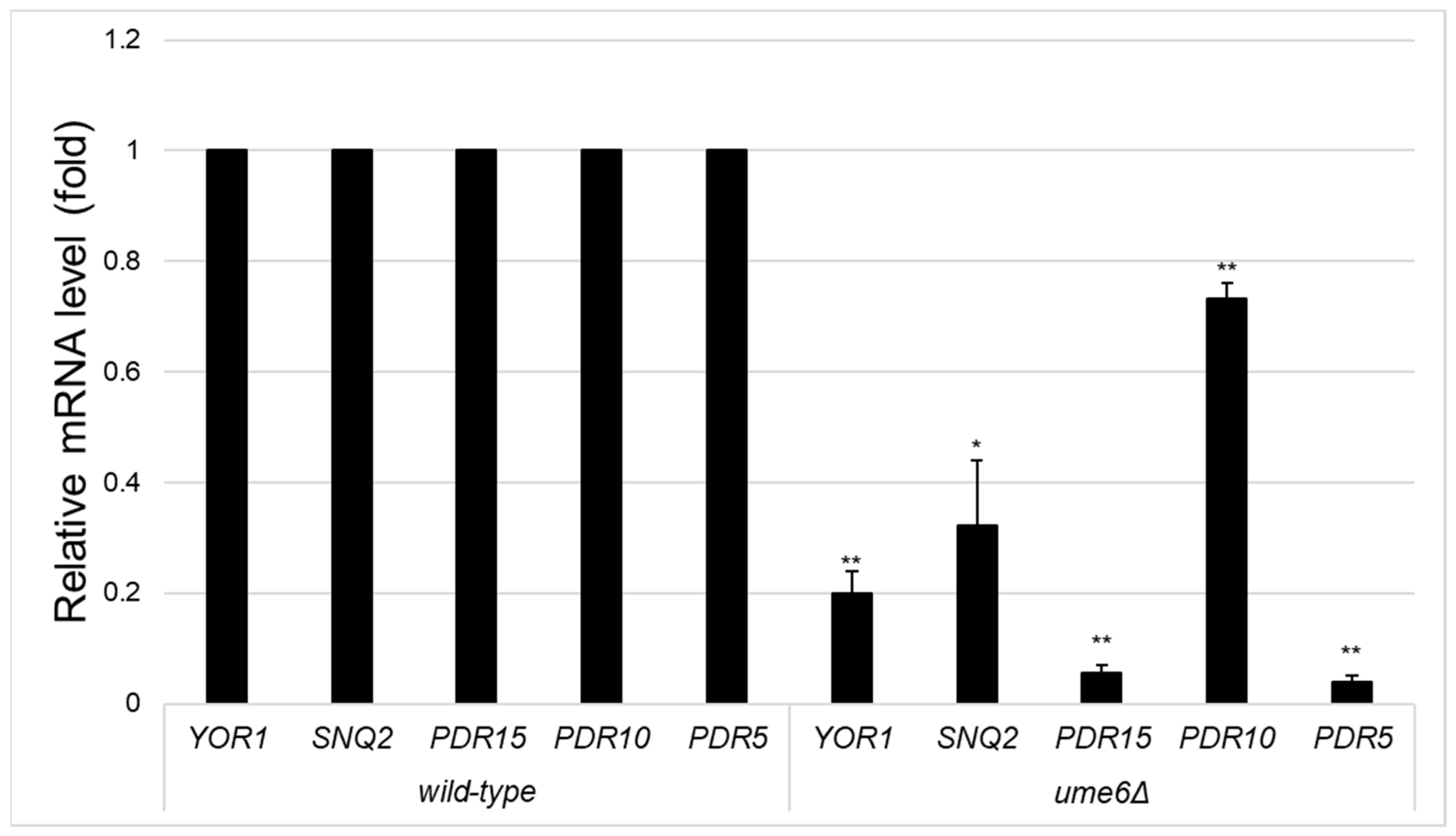 Microbiolres 15 00048 g001