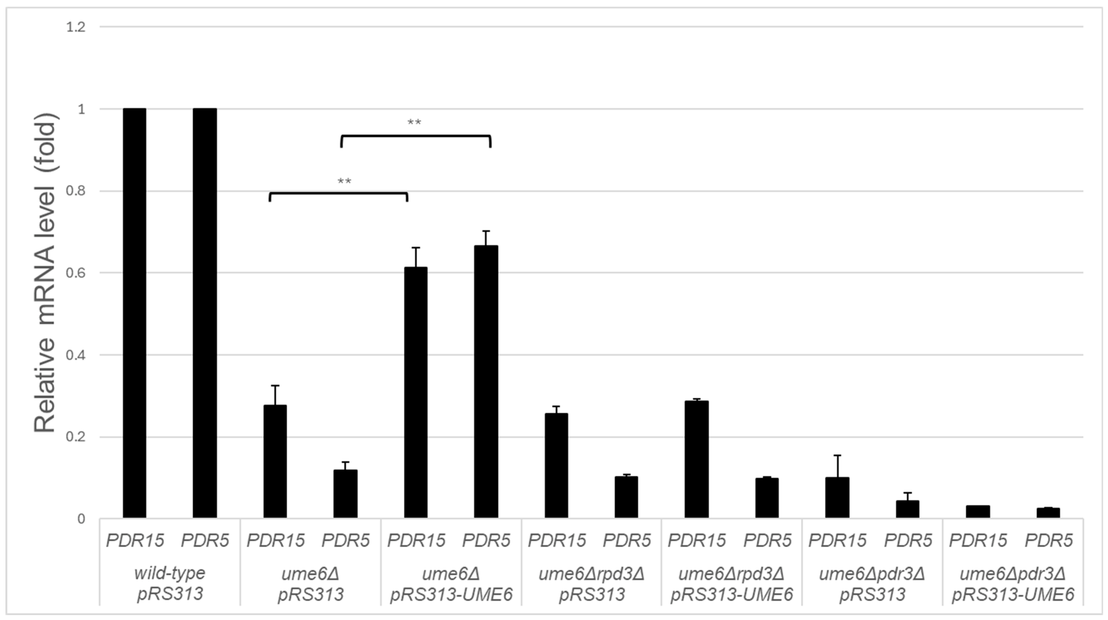 Microbiolres 15 00048 g003