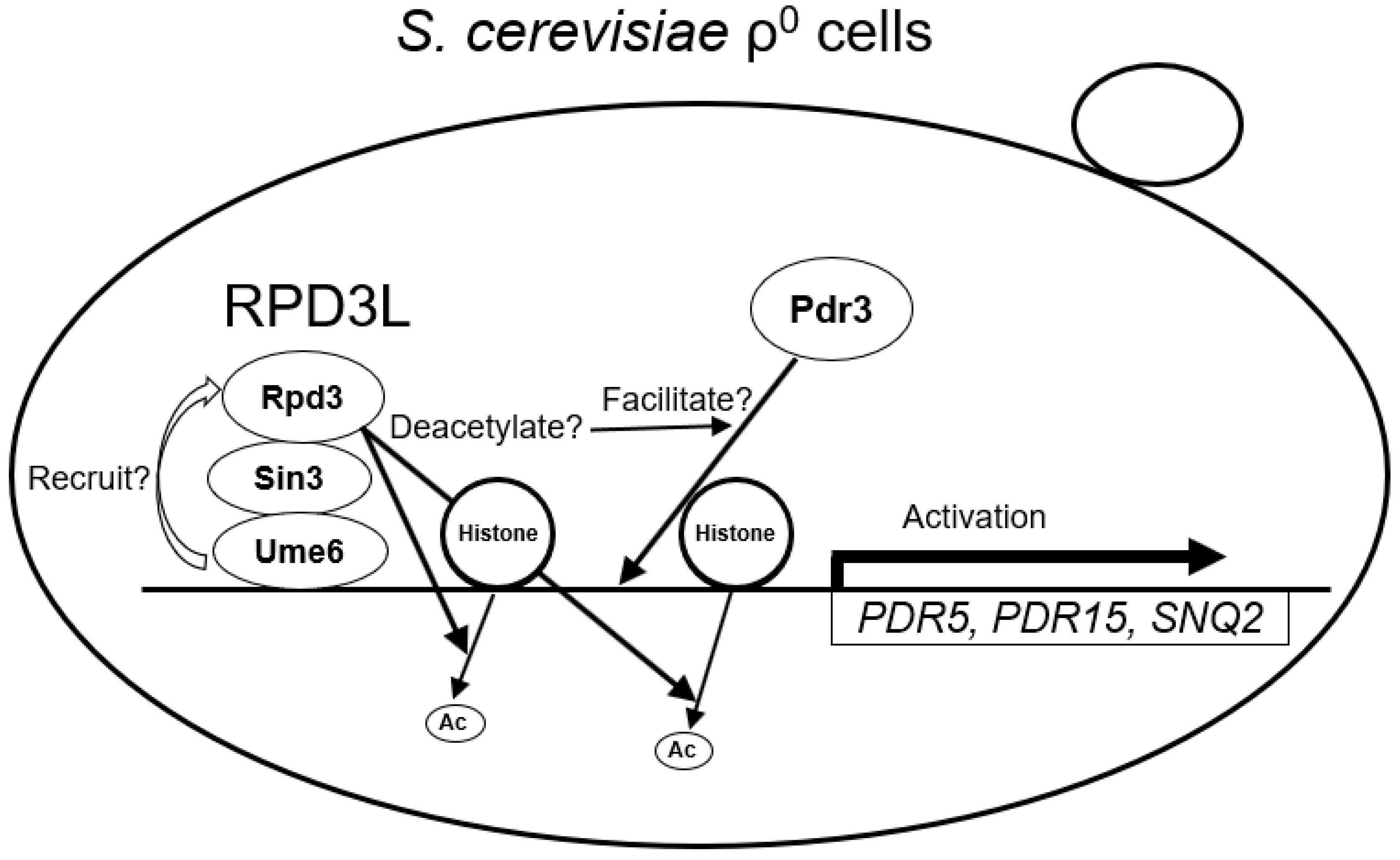Microbiolres 15 00048 g005