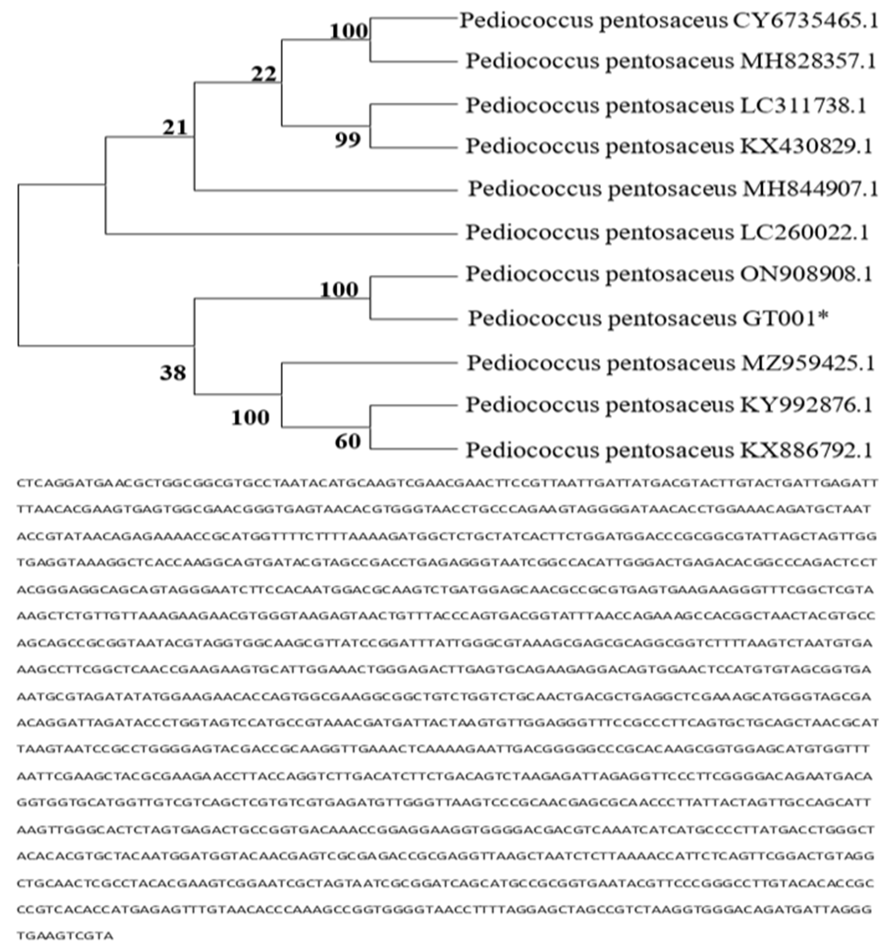 Microbiolres 15 00051 g011