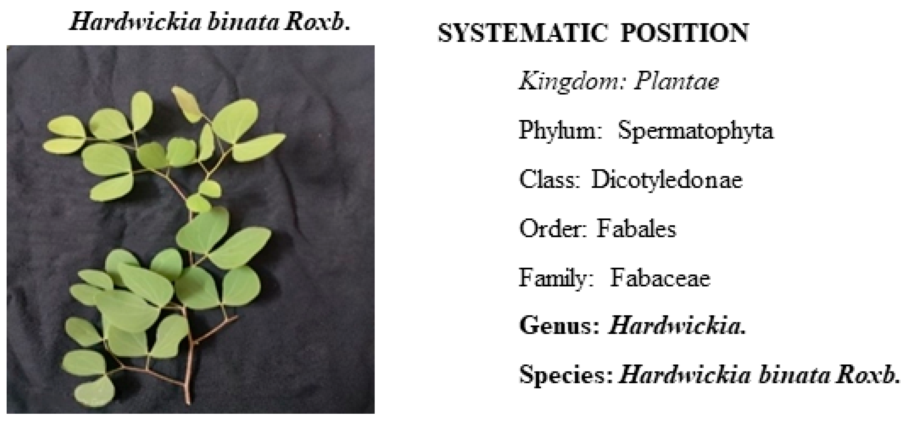 Microbiolres 15 00053 g001