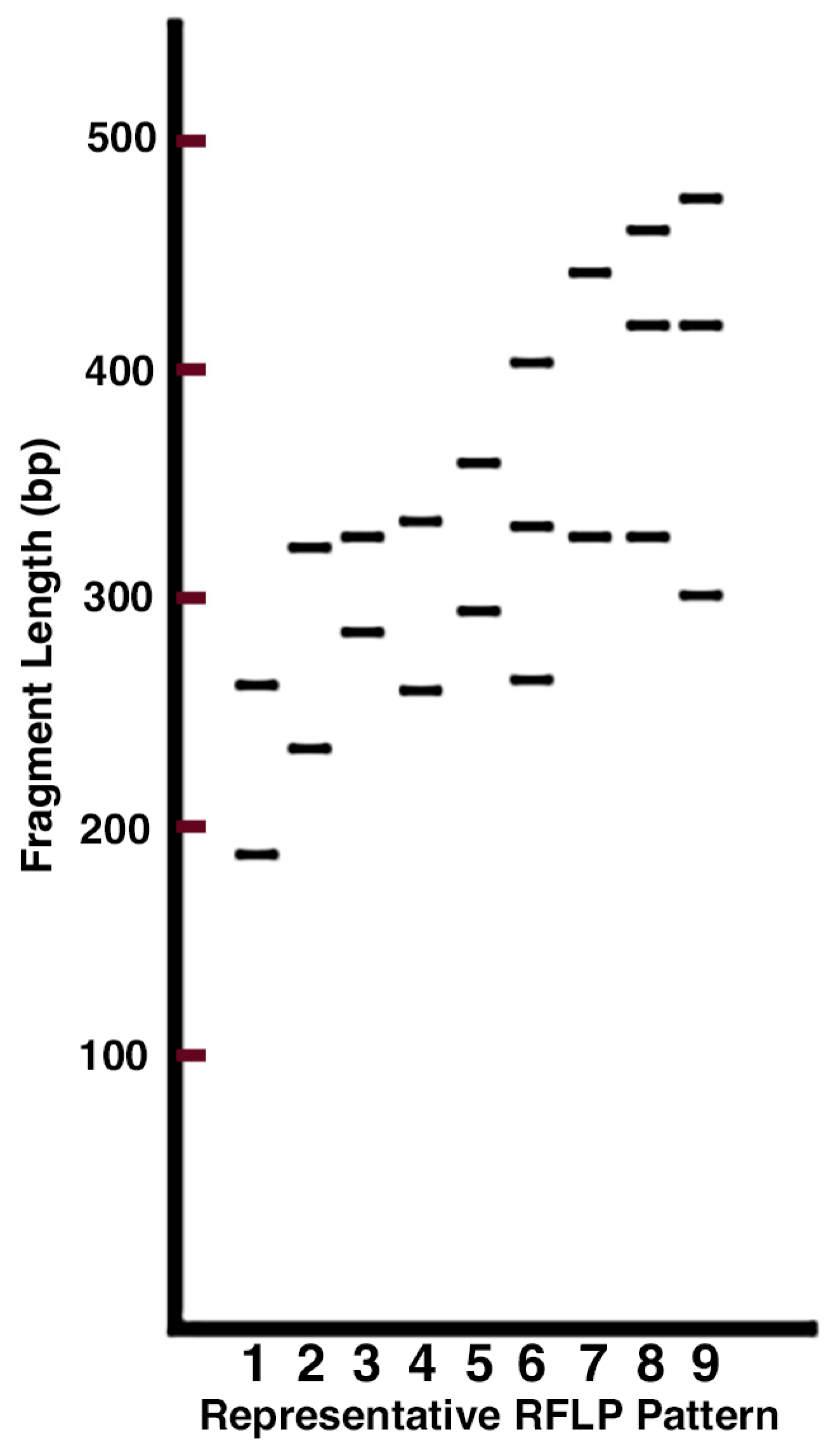 Microbiolres 15 00054 g001 Microbiolres 15 00054 g001