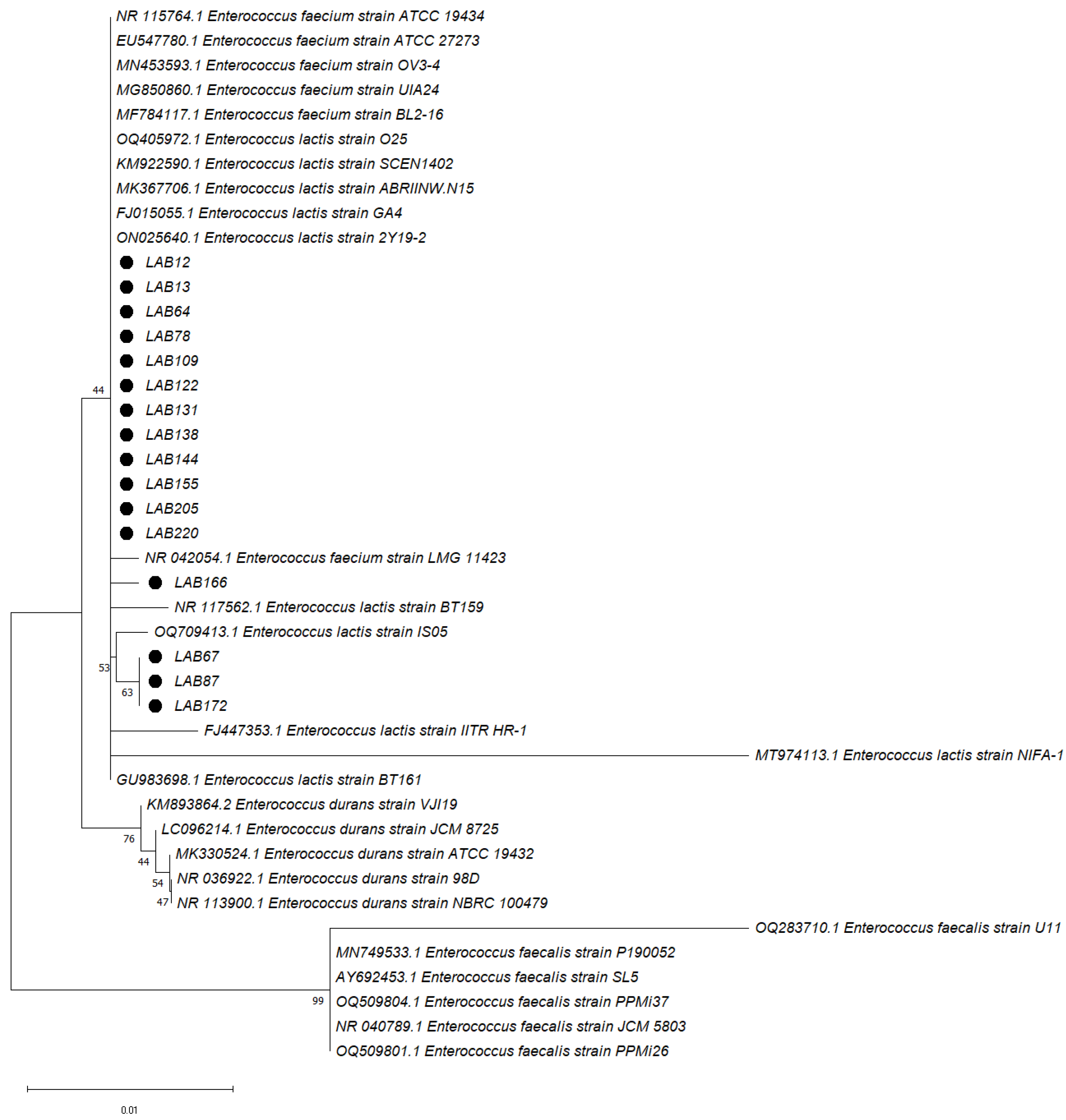 Microbiolres 15 00058 g003