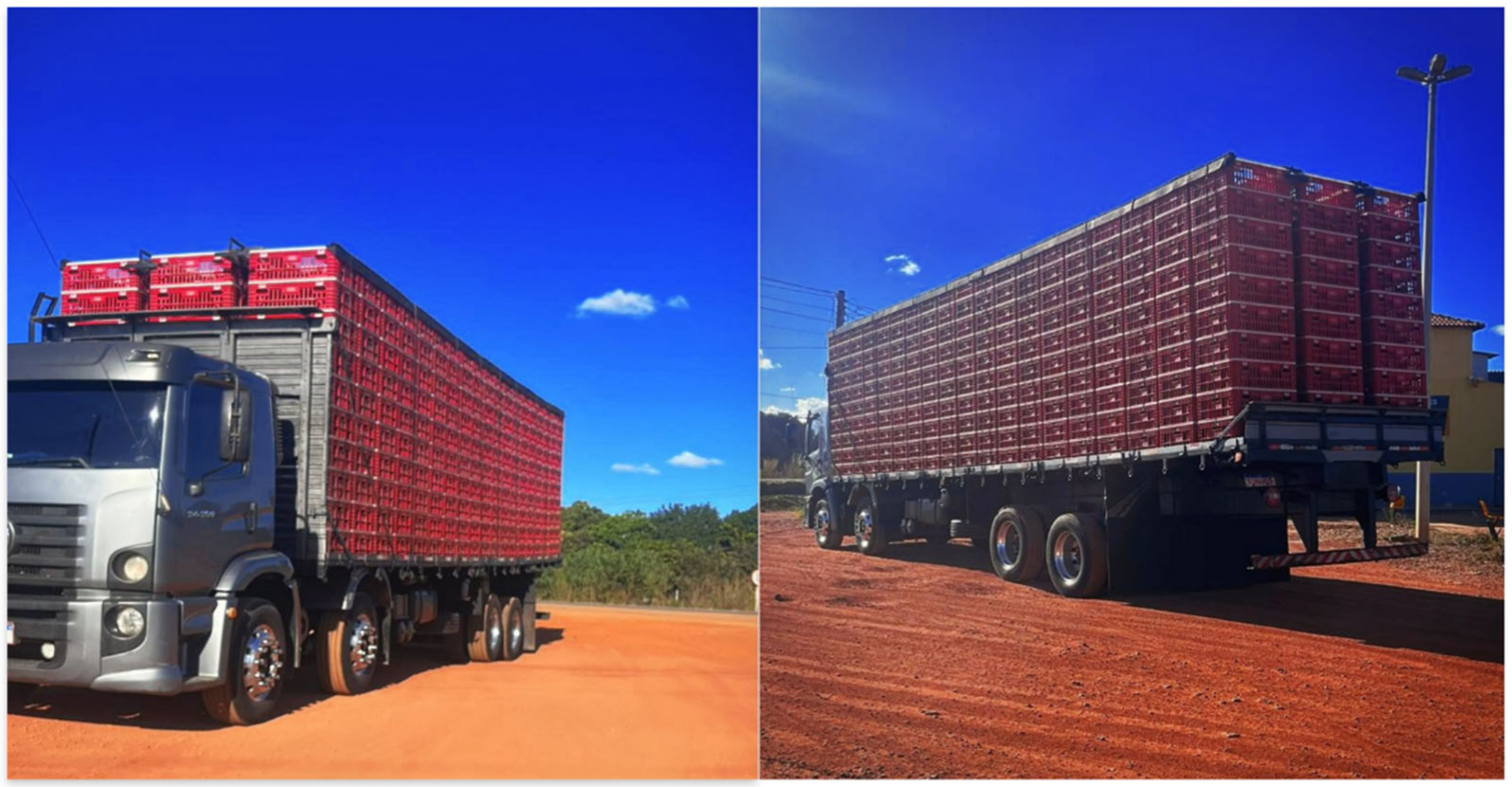 Microbiolres 15 00063 g001