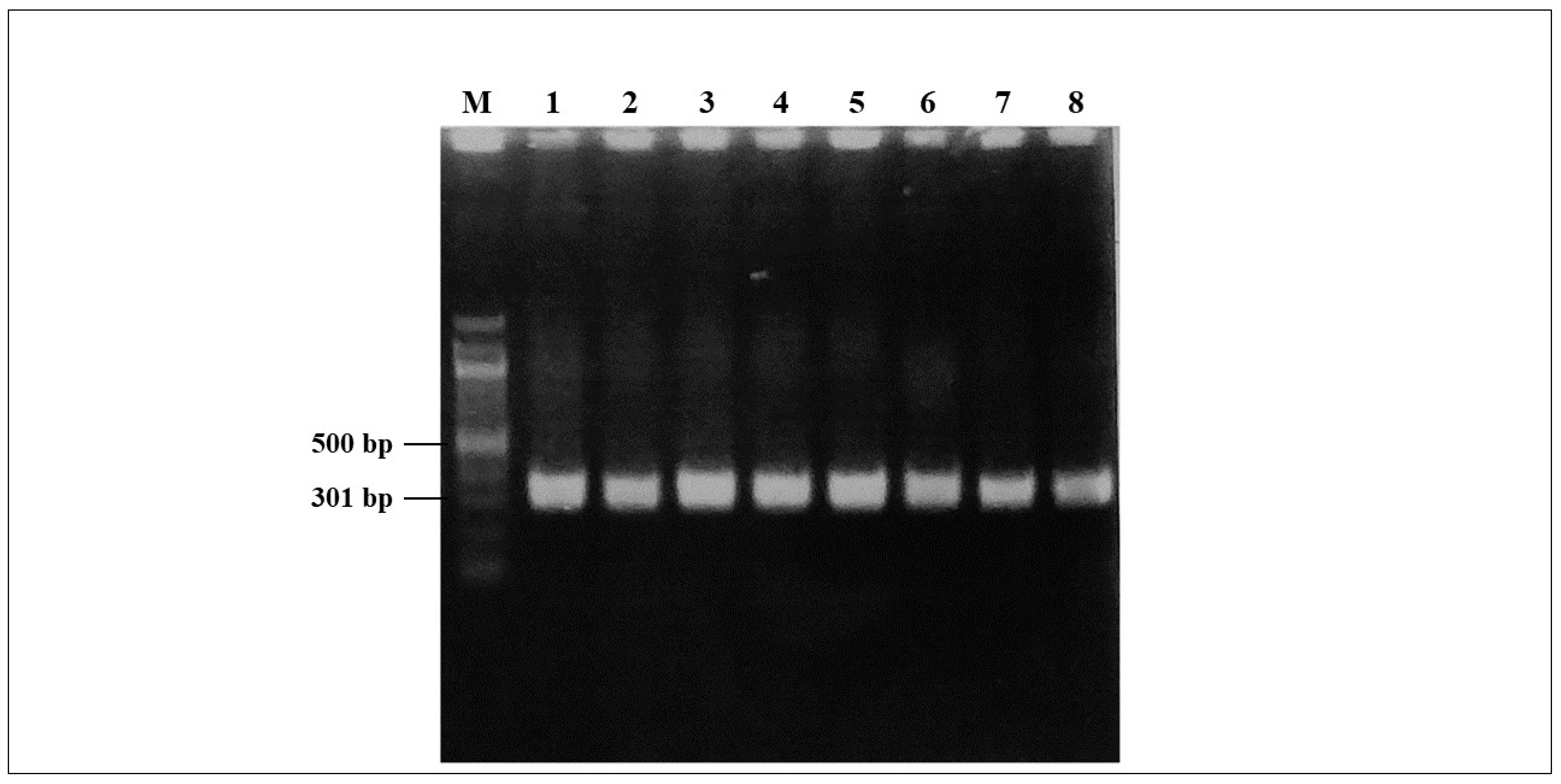 Microbiolres 15 00074 g001