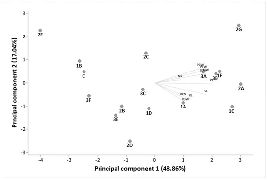 Plant Growth-Promoting and Tequila Vinasse-Resistant
