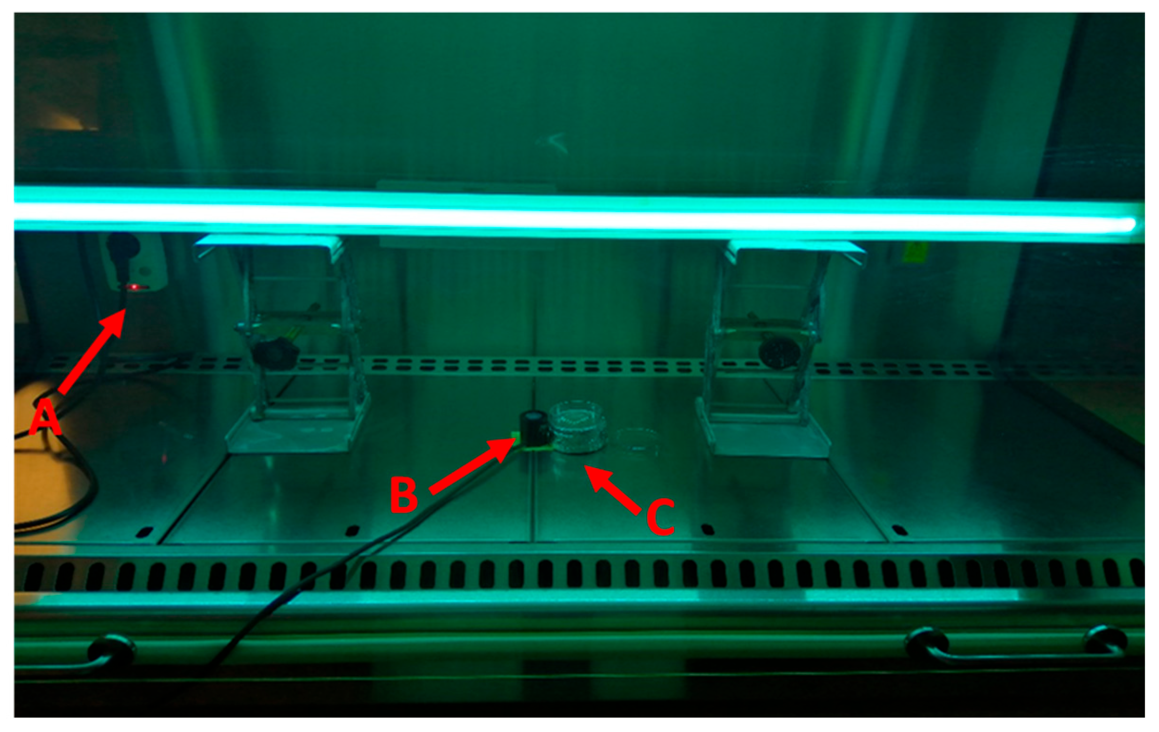 Microbiolres 15 00080 g001