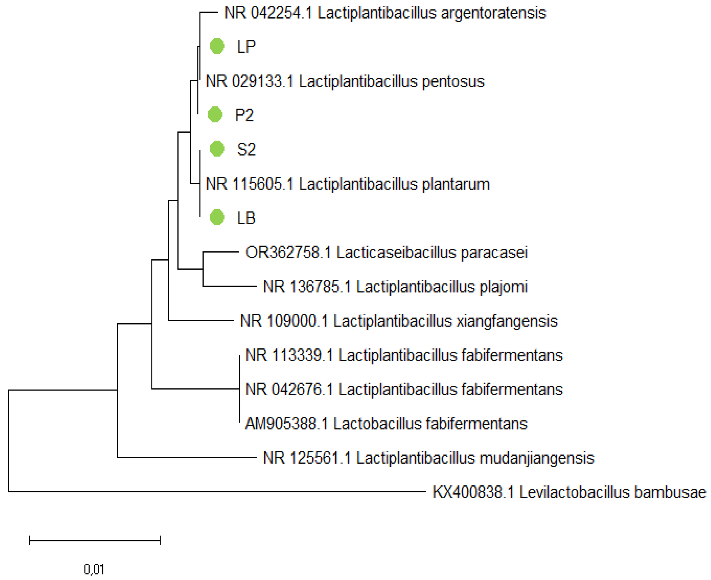 Microbiolres 15 00087 g003