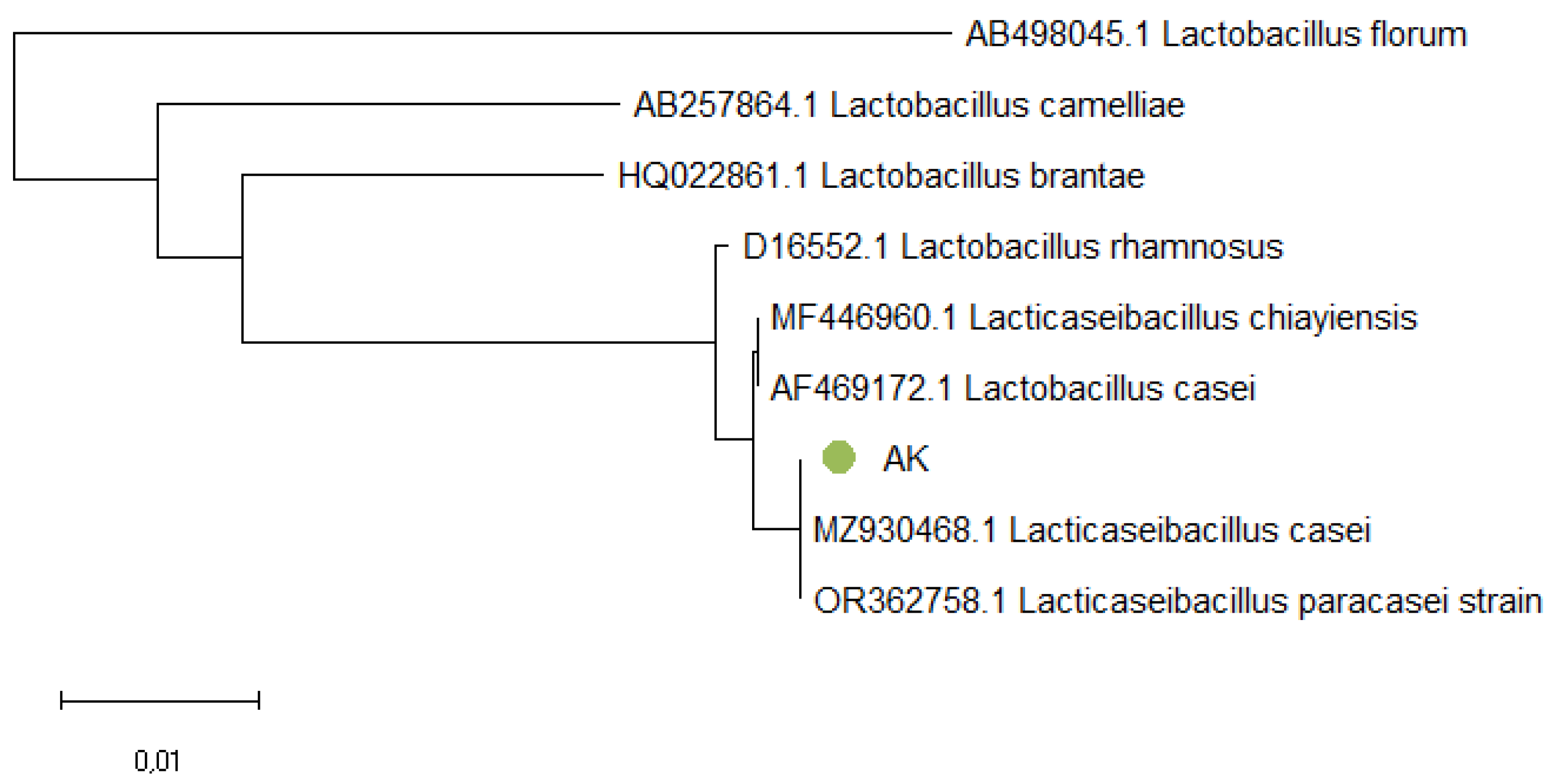 Microbiolres 15 00087 g004