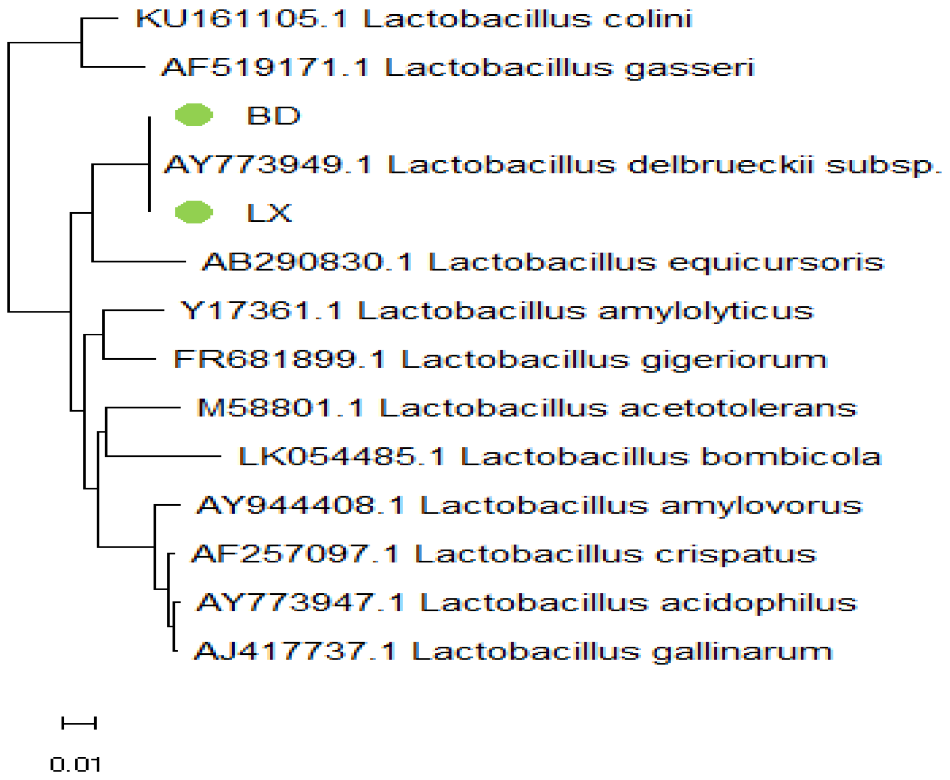 Microbiolres 15 00087 g005