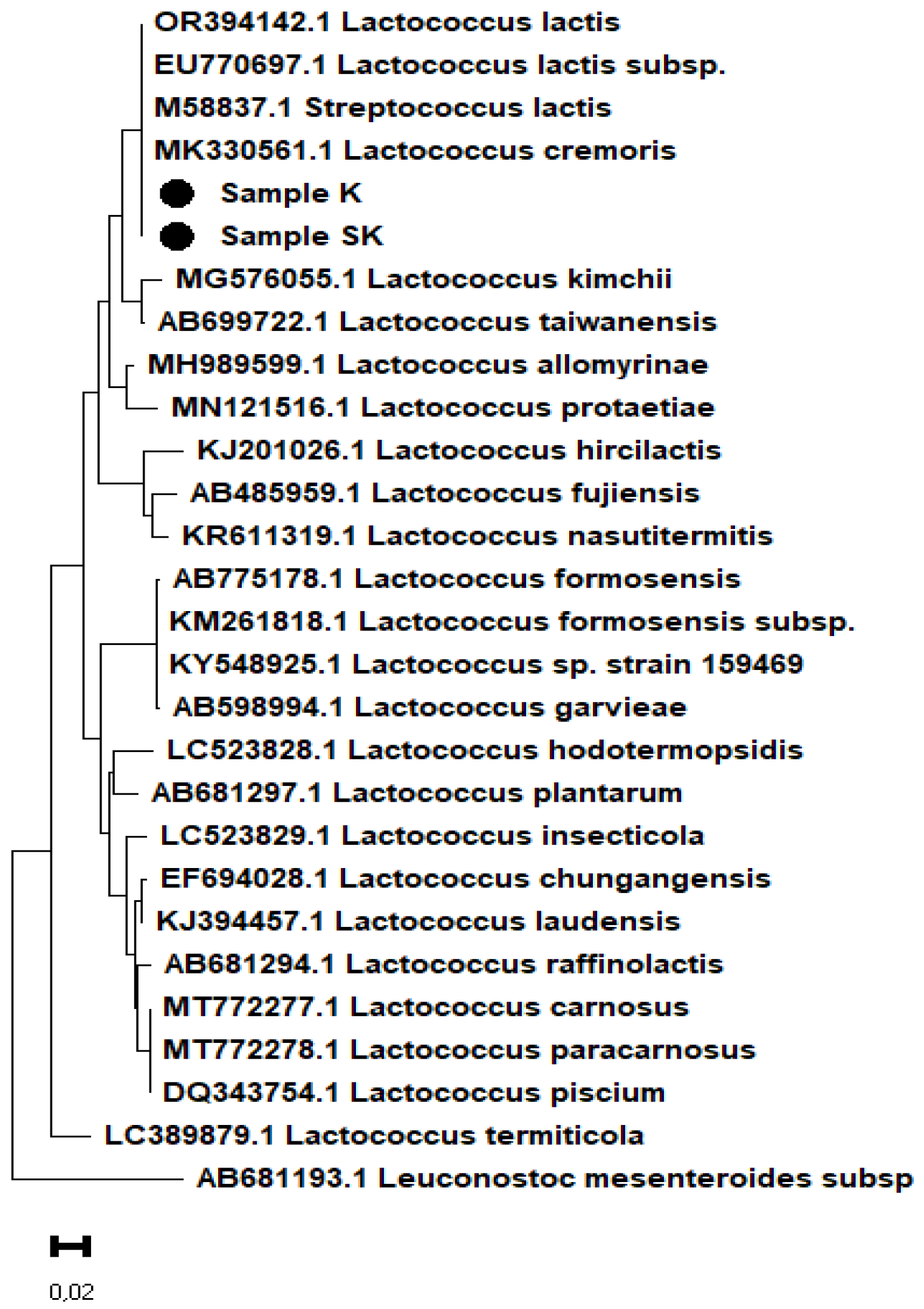 Microbiolres 15 00087 g006