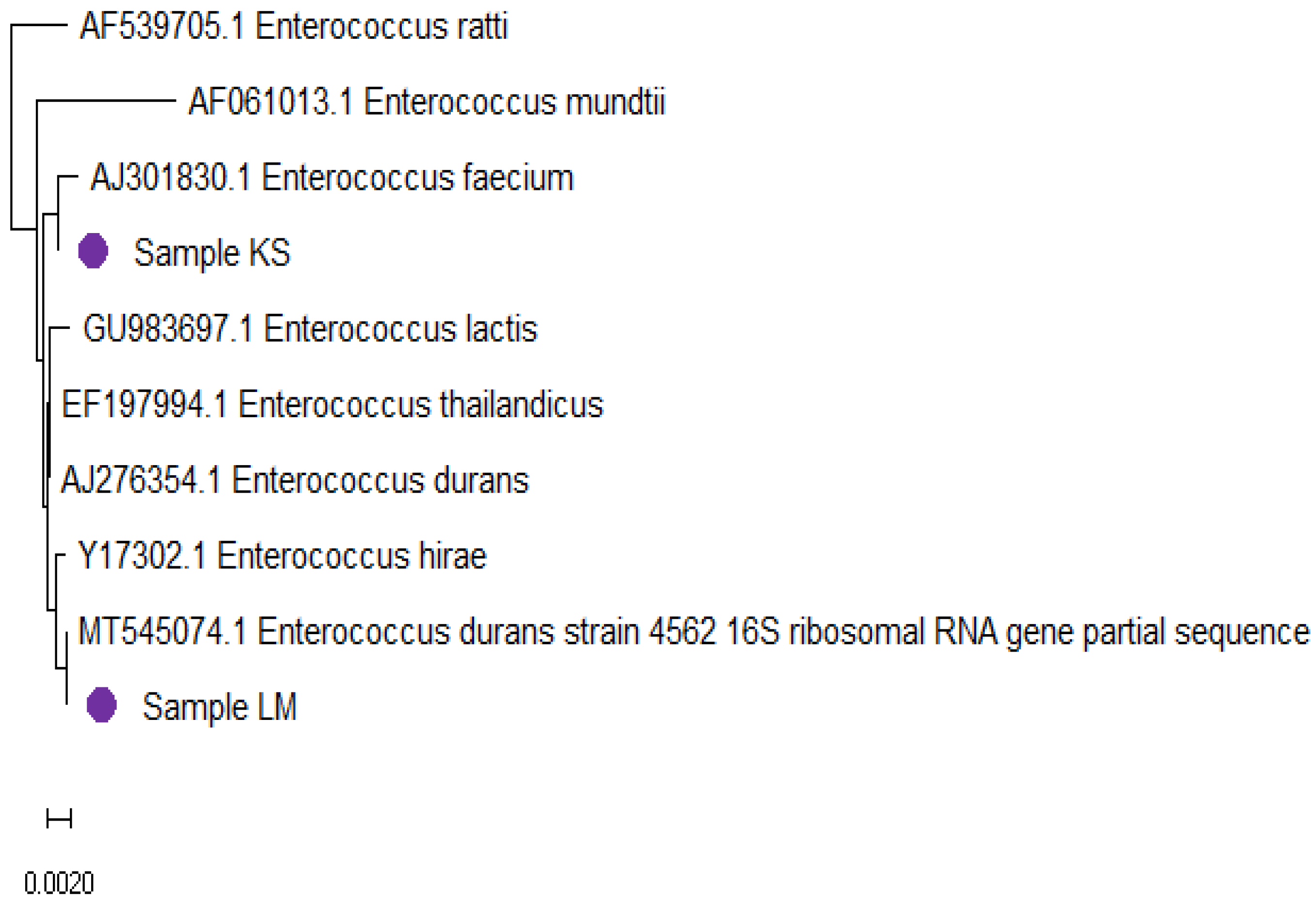 Microbiolres 15 00087 g007