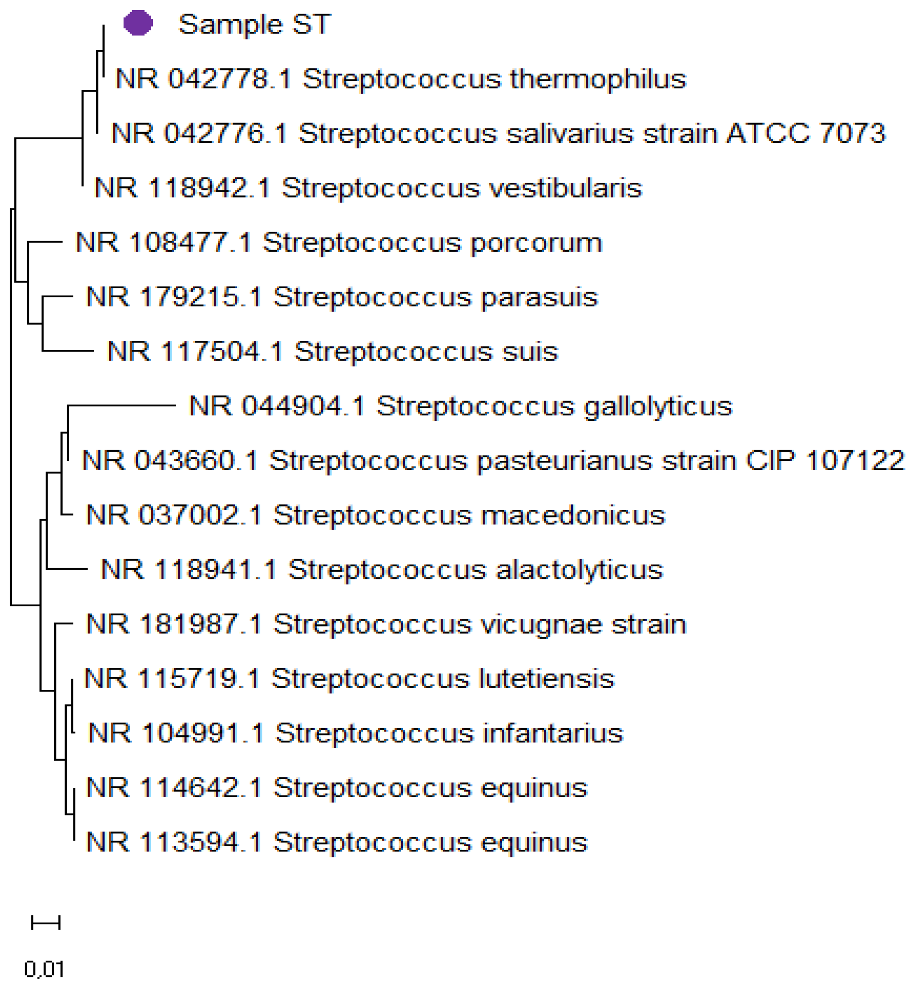 Microbiolres 15 00087 g008