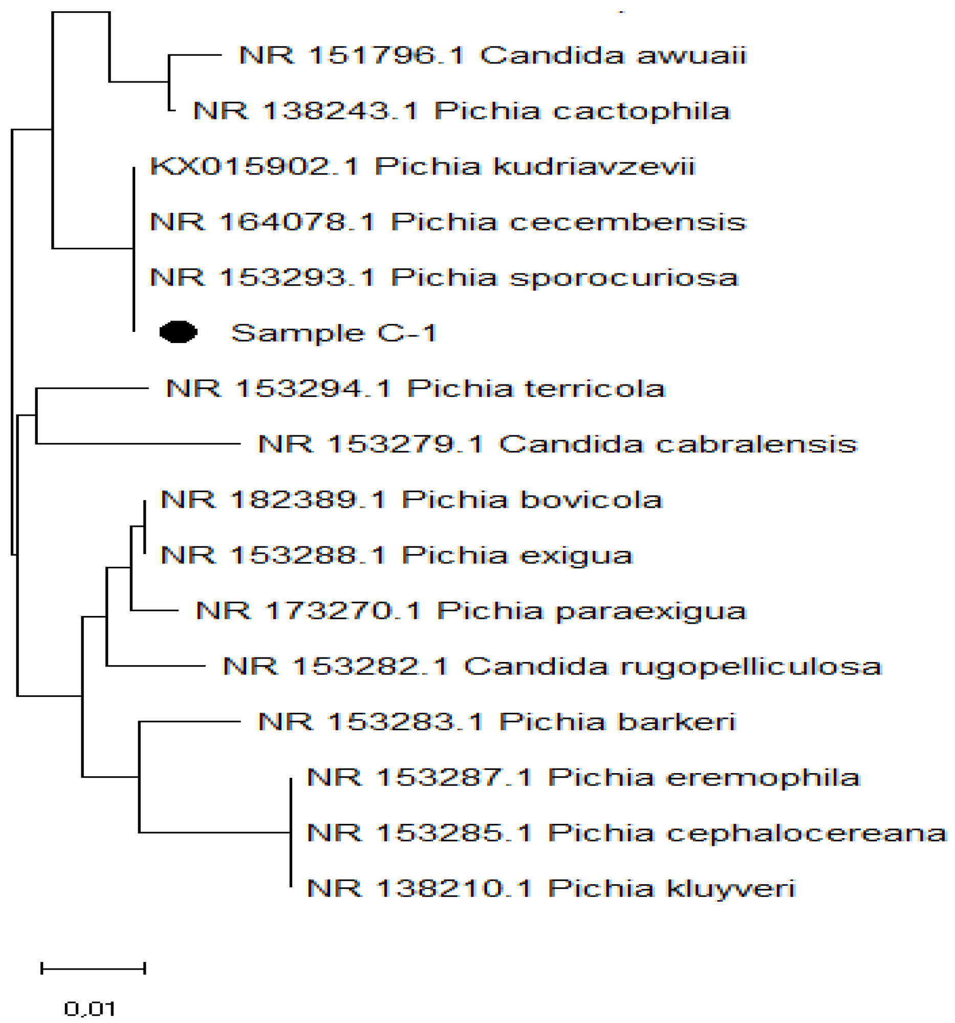 Microbiolres 15 00087 g009