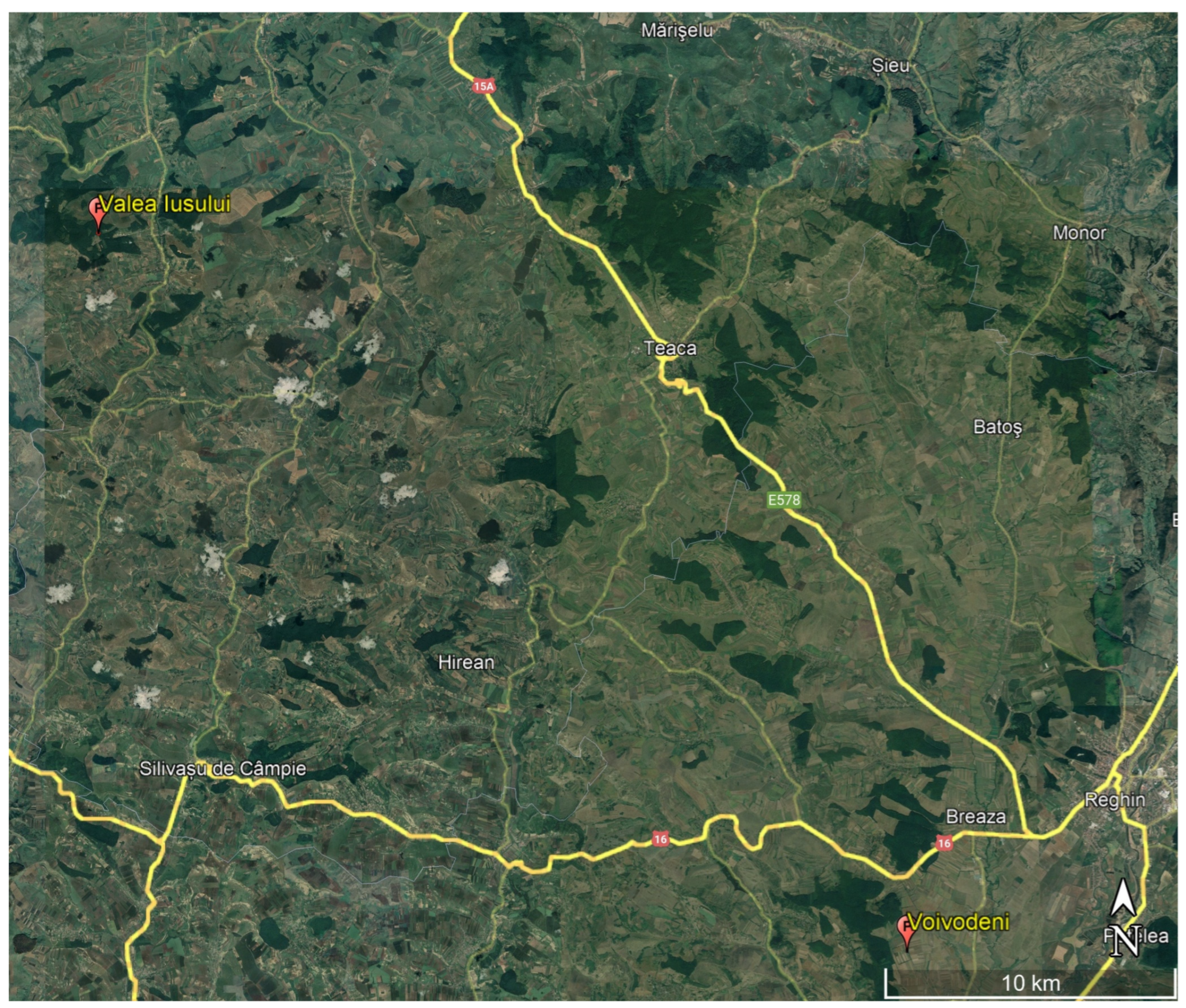 Microbiolres 15 00097 g001 Microbiolres 15 00097 g001