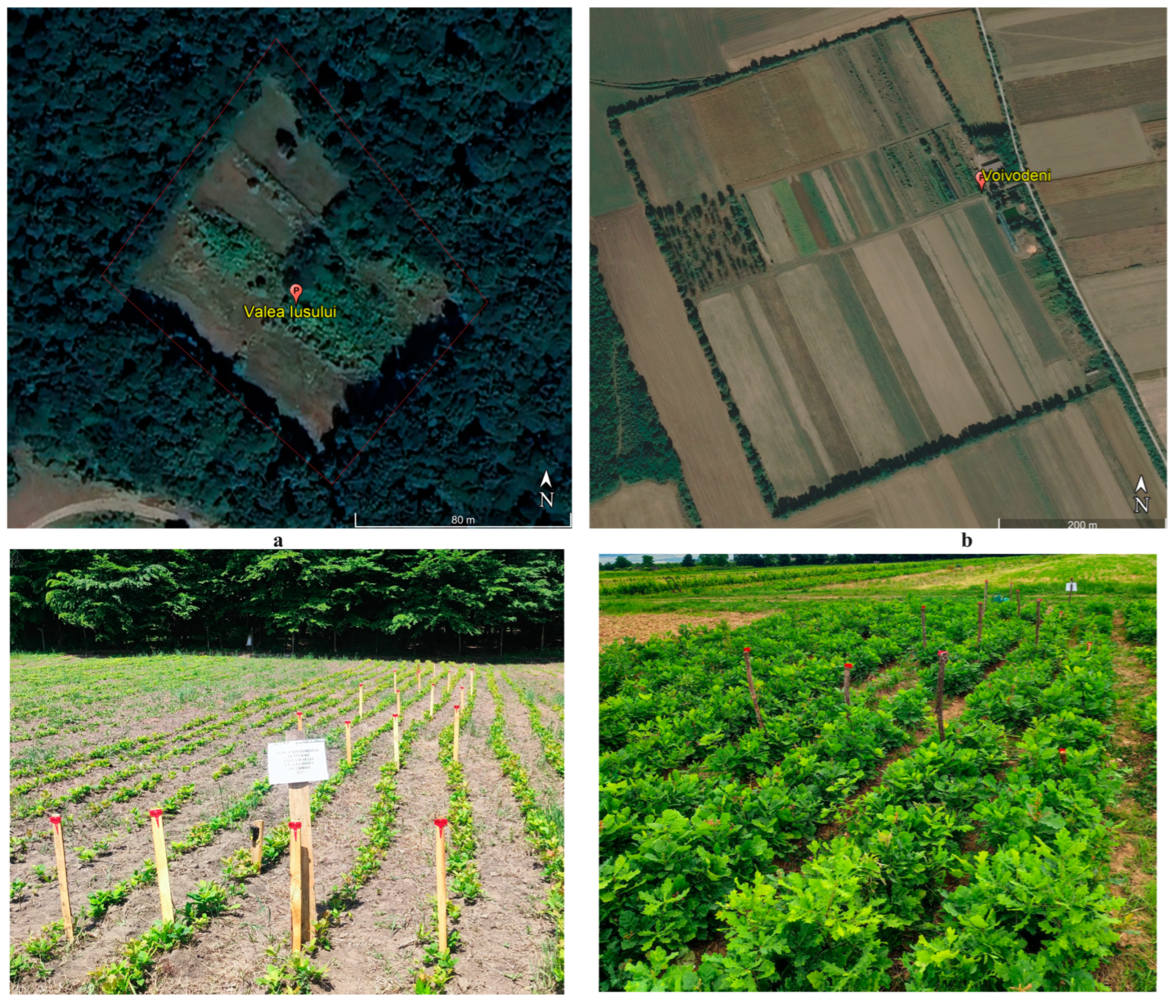 Microbiolres 15 00097 g002 Microbiolres 15 00097 g002