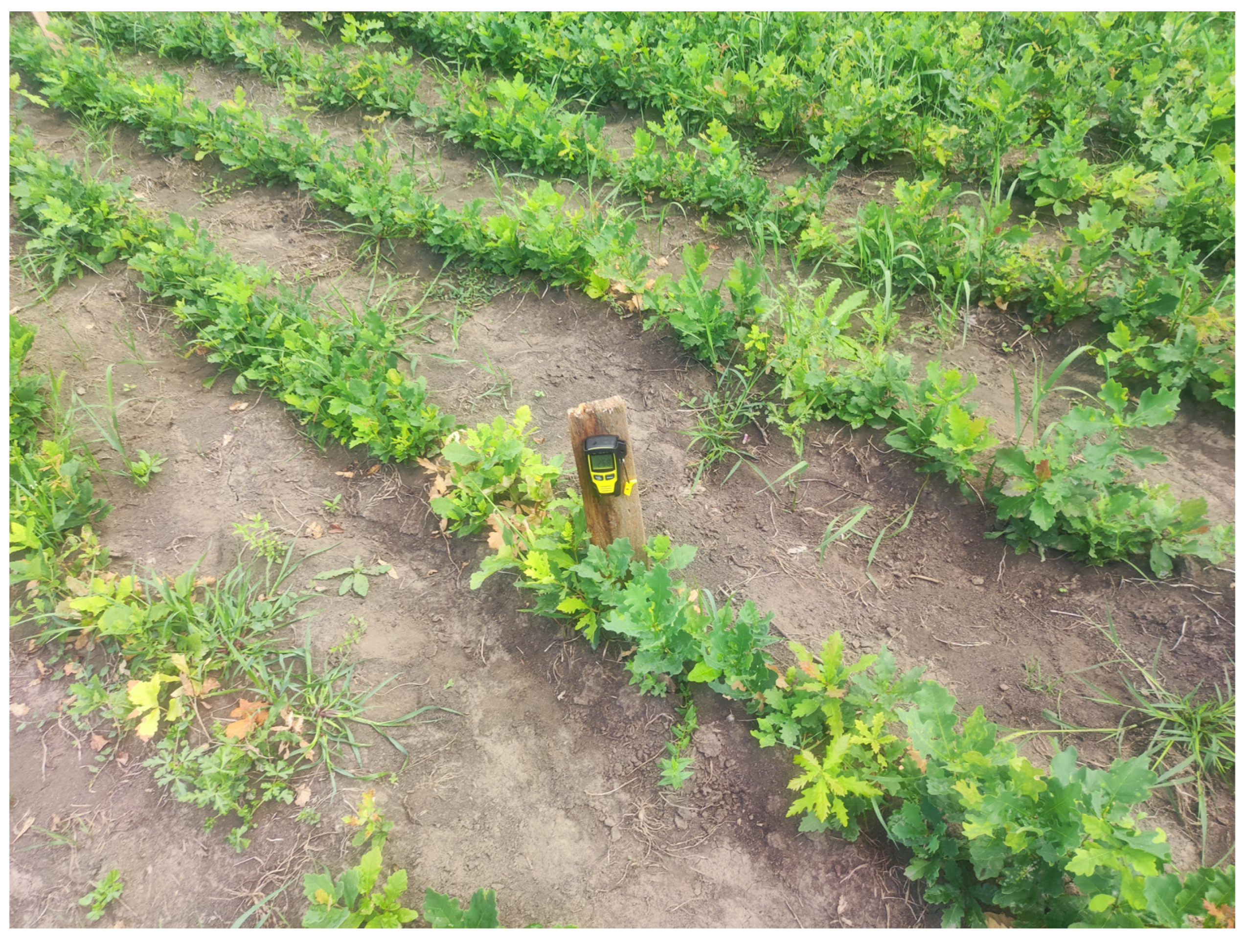 Microbiolres 15 00097 g003 Microbiolres 15 00097 g003