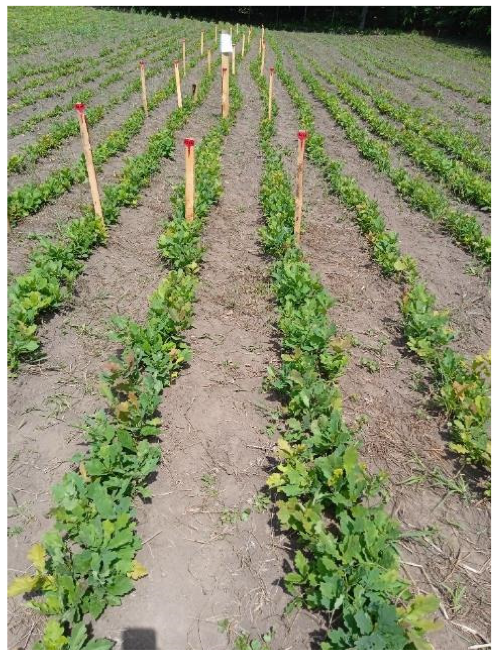 Microbiolres 15 00097 g006 Microbiolres 15 00097 g006