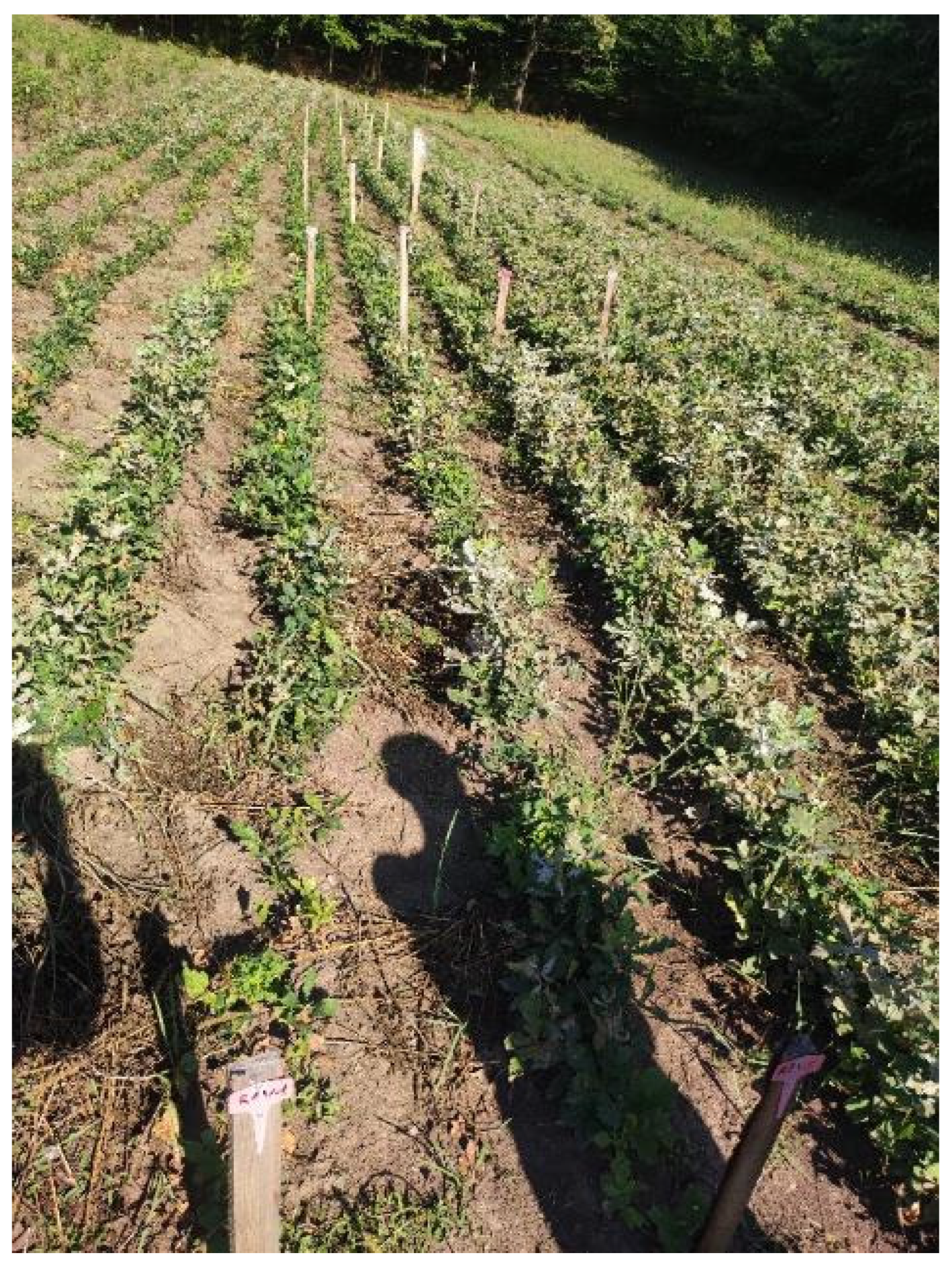 Microbiolres 15 00097 g007 Microbiolres 15 00097 g007