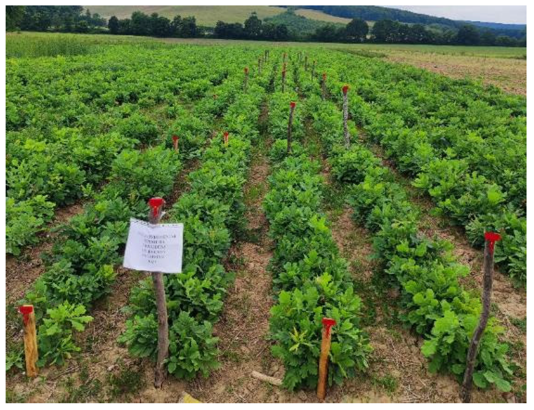 Microbiolres 15 00097 g010 Microbiolres 15 00097 g010