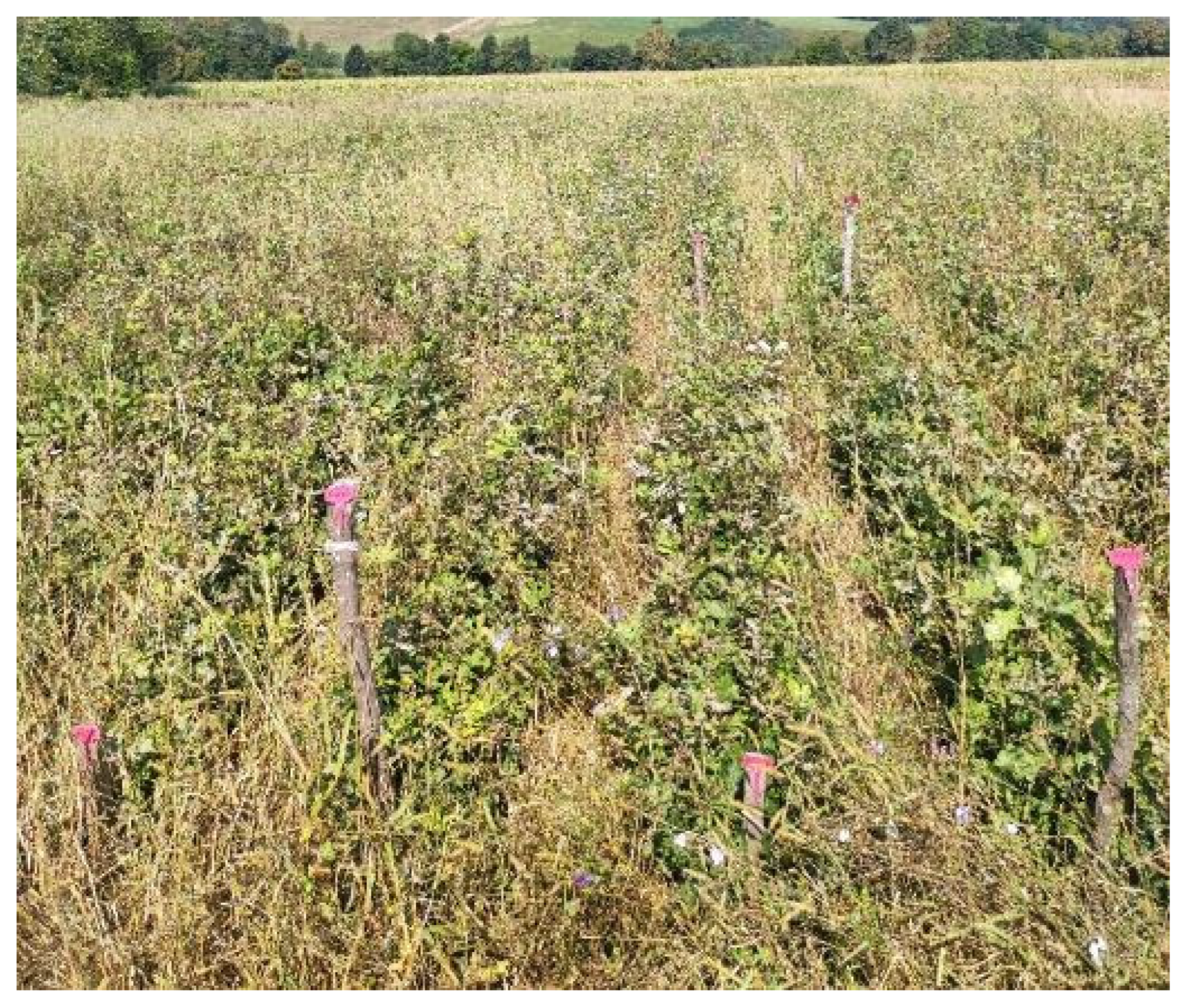 Microbiolres 15 00097 g011 Microbiolres 15 00097 g011