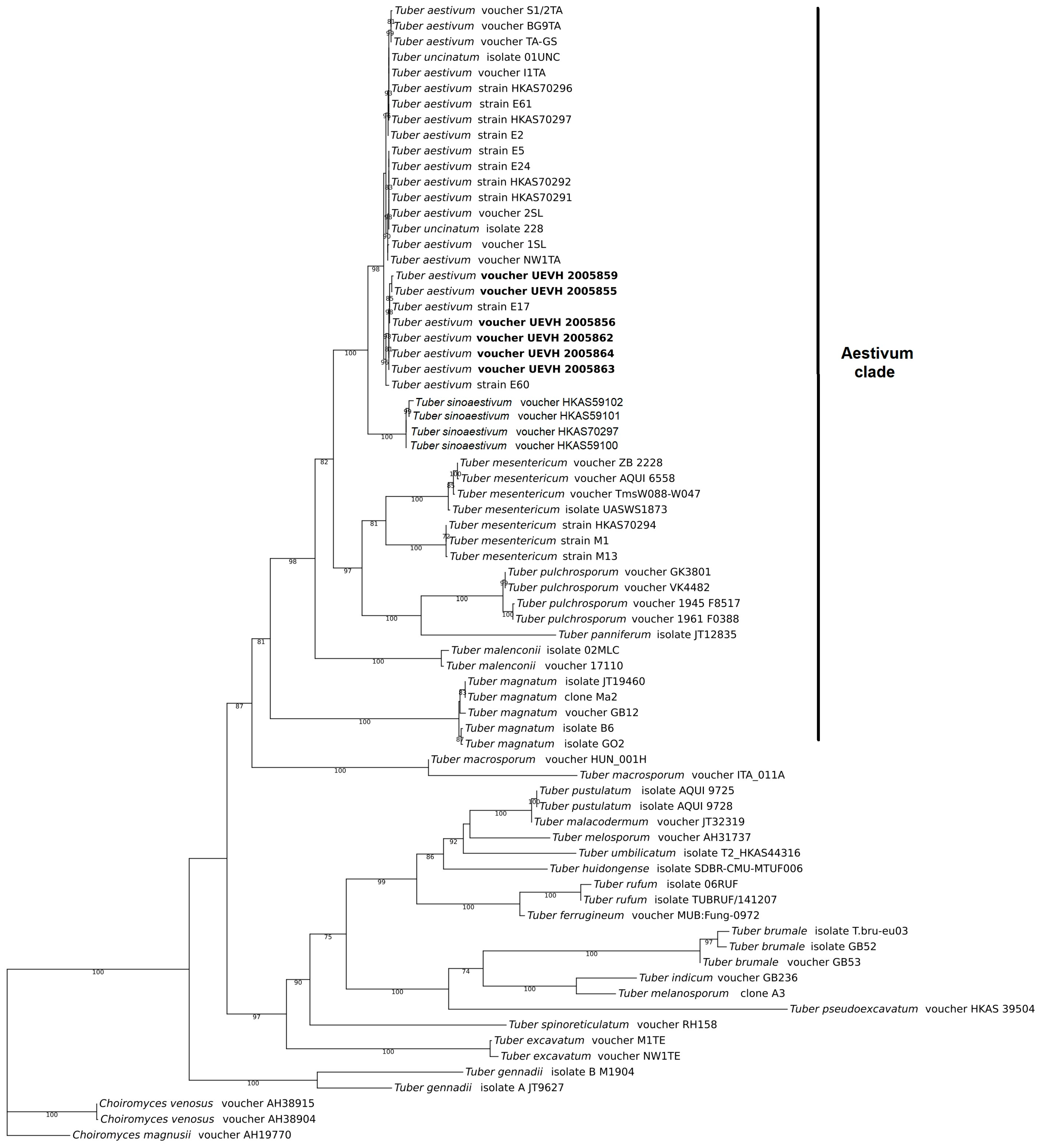 Microbiolres 15 00101 g003
