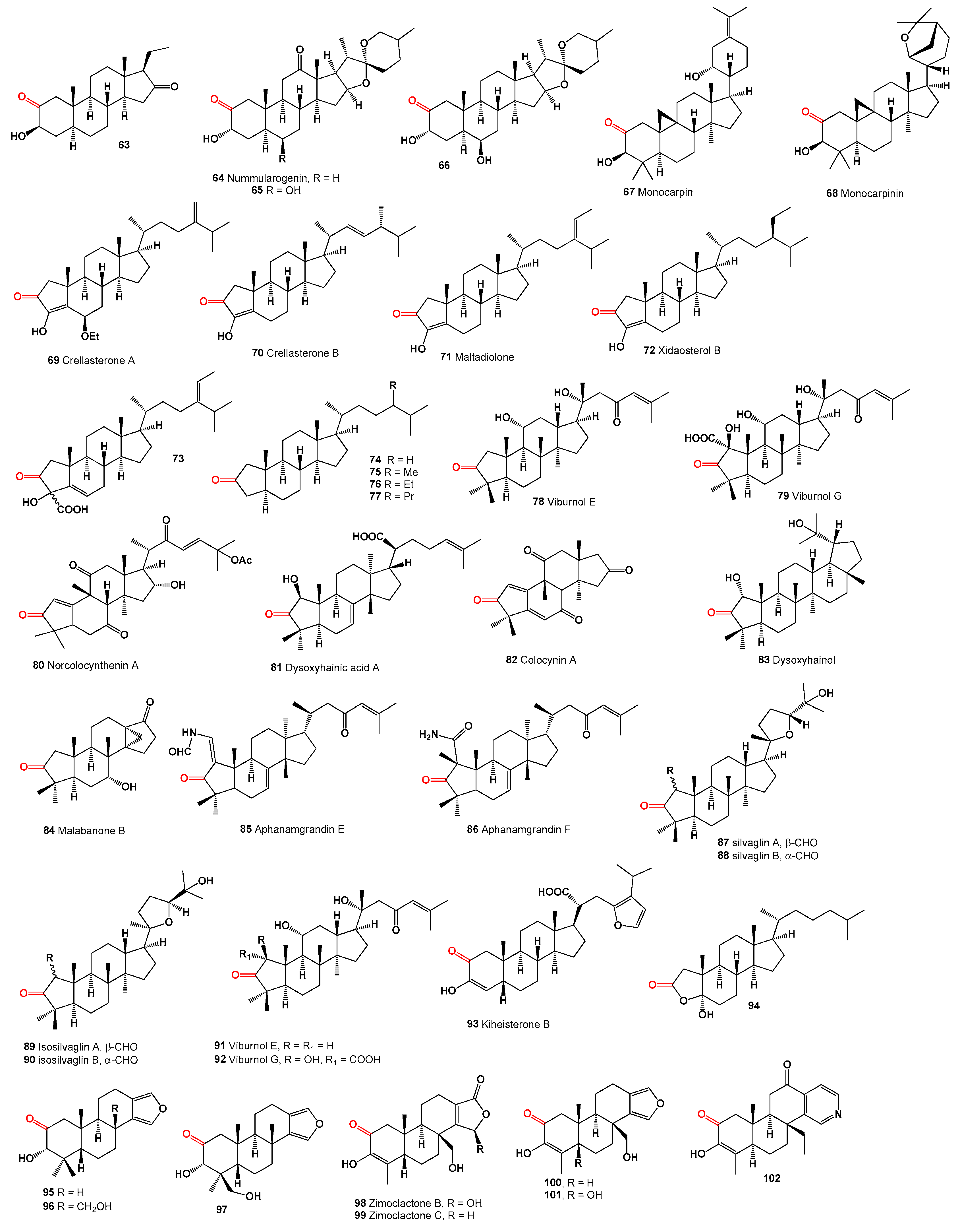 Microbiolres 15 00103 g004