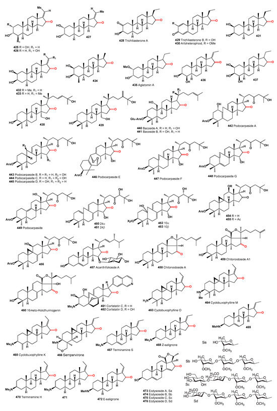Chemical Diversity of Ketosteroids as Potential Therapeutic