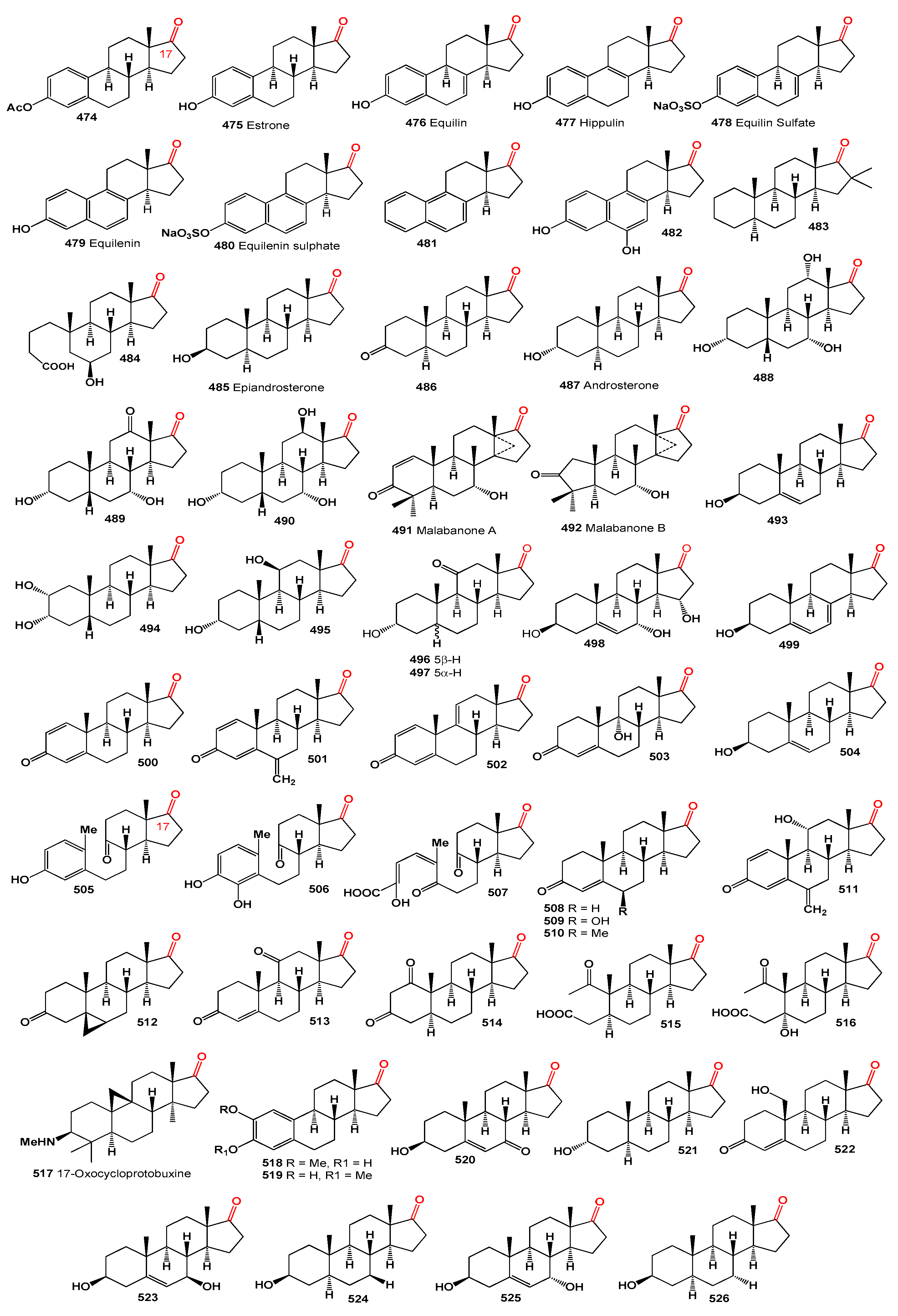 Microbiolres 15 00103 g015