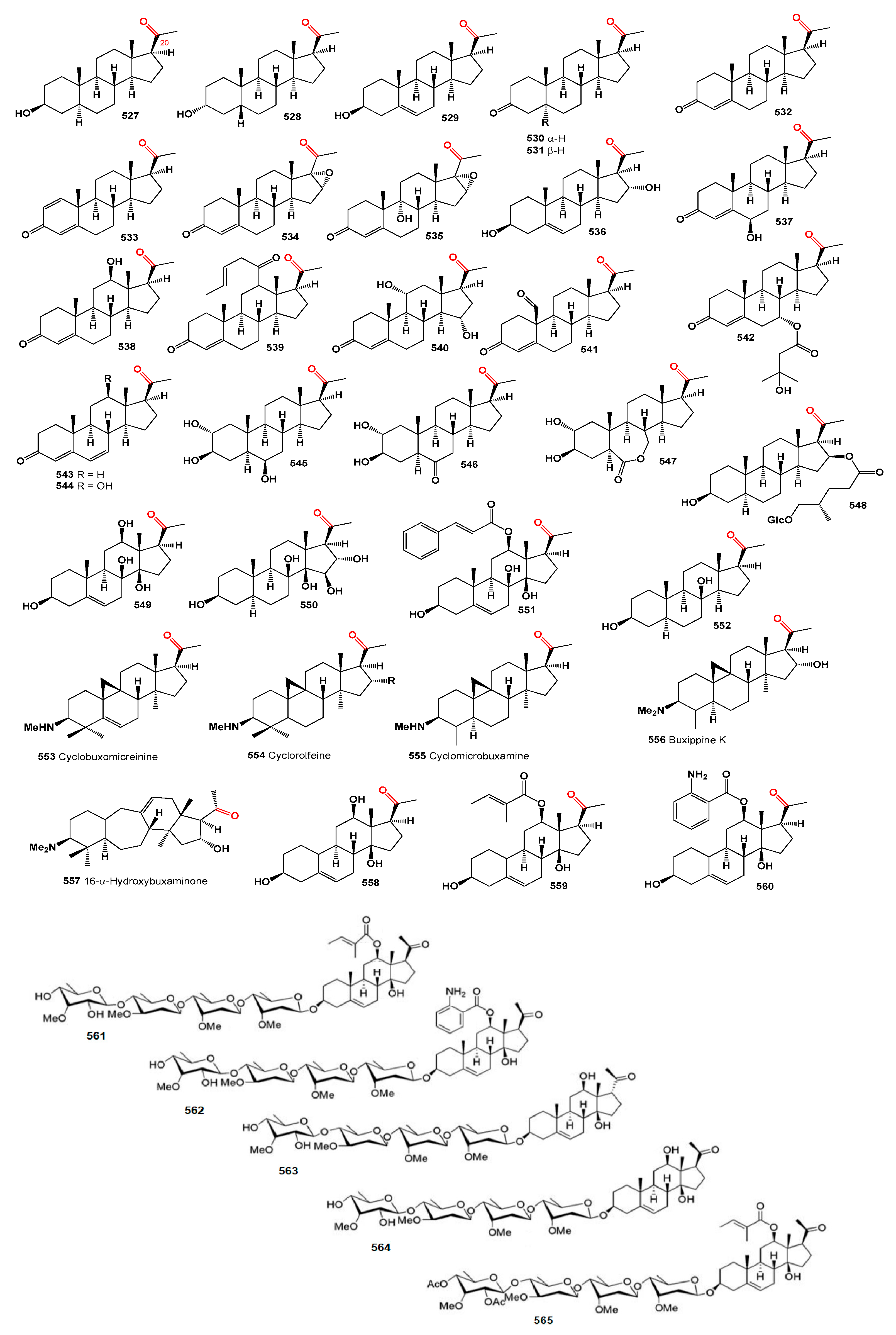 Microbiolres 15 00103 g016