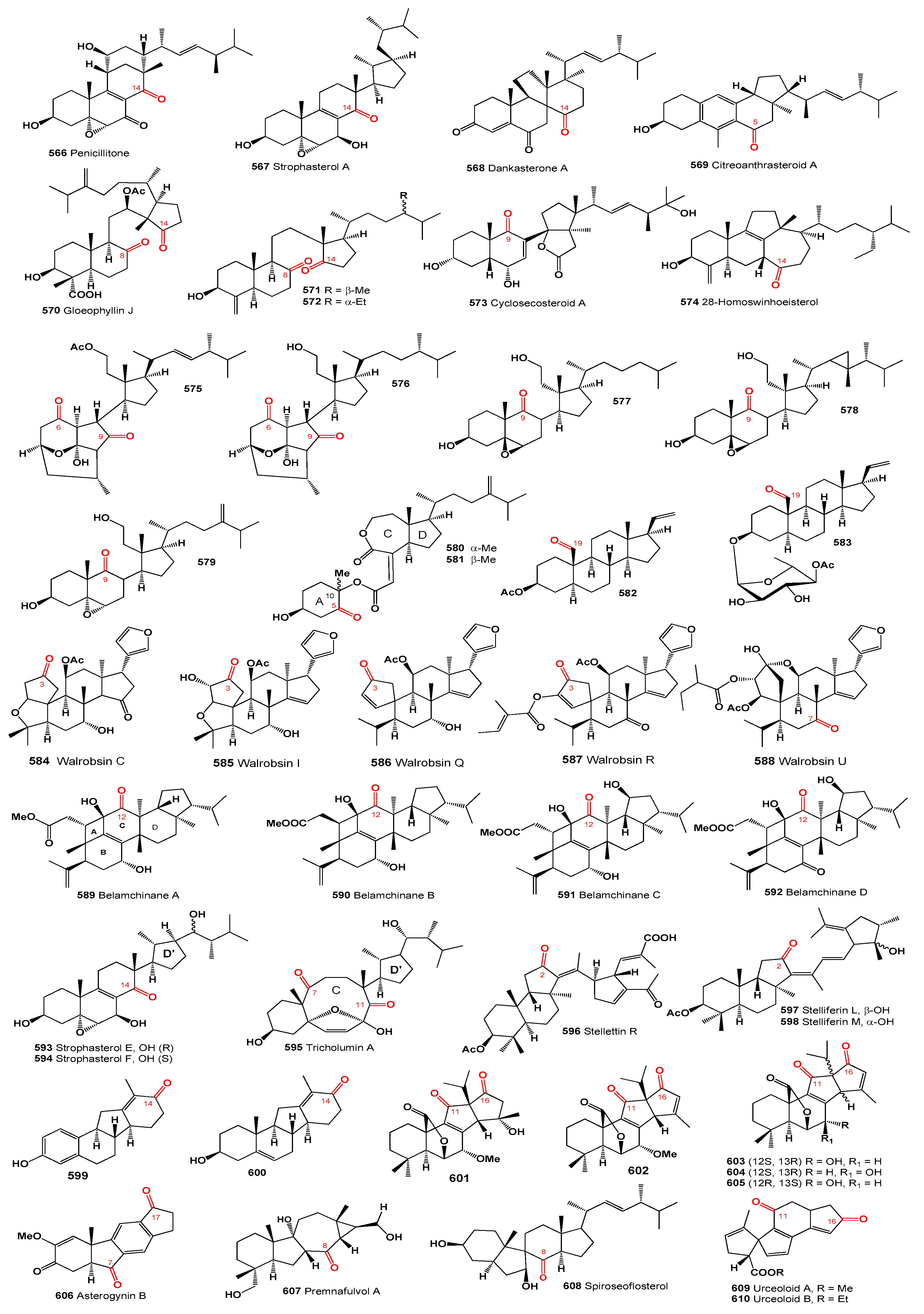 Microbiolres 15 00103 g017