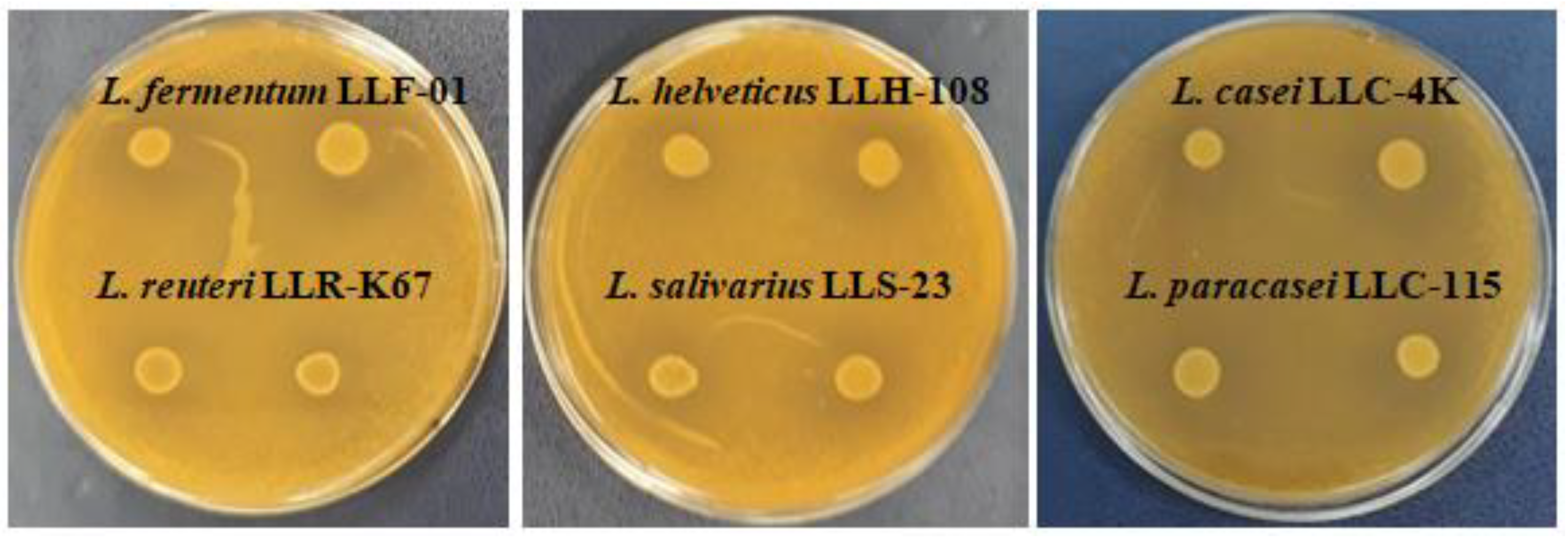 Microbiolres 15 00104 g001