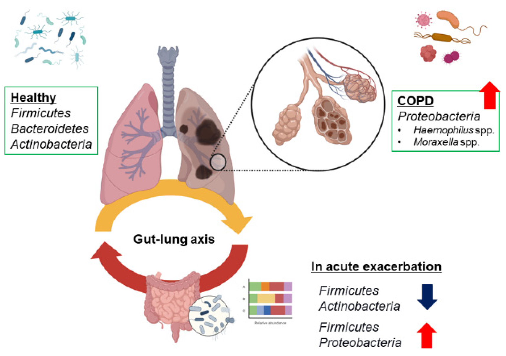 Microbiolres 15 00106 g001 Microbiolres 15 00106 g001