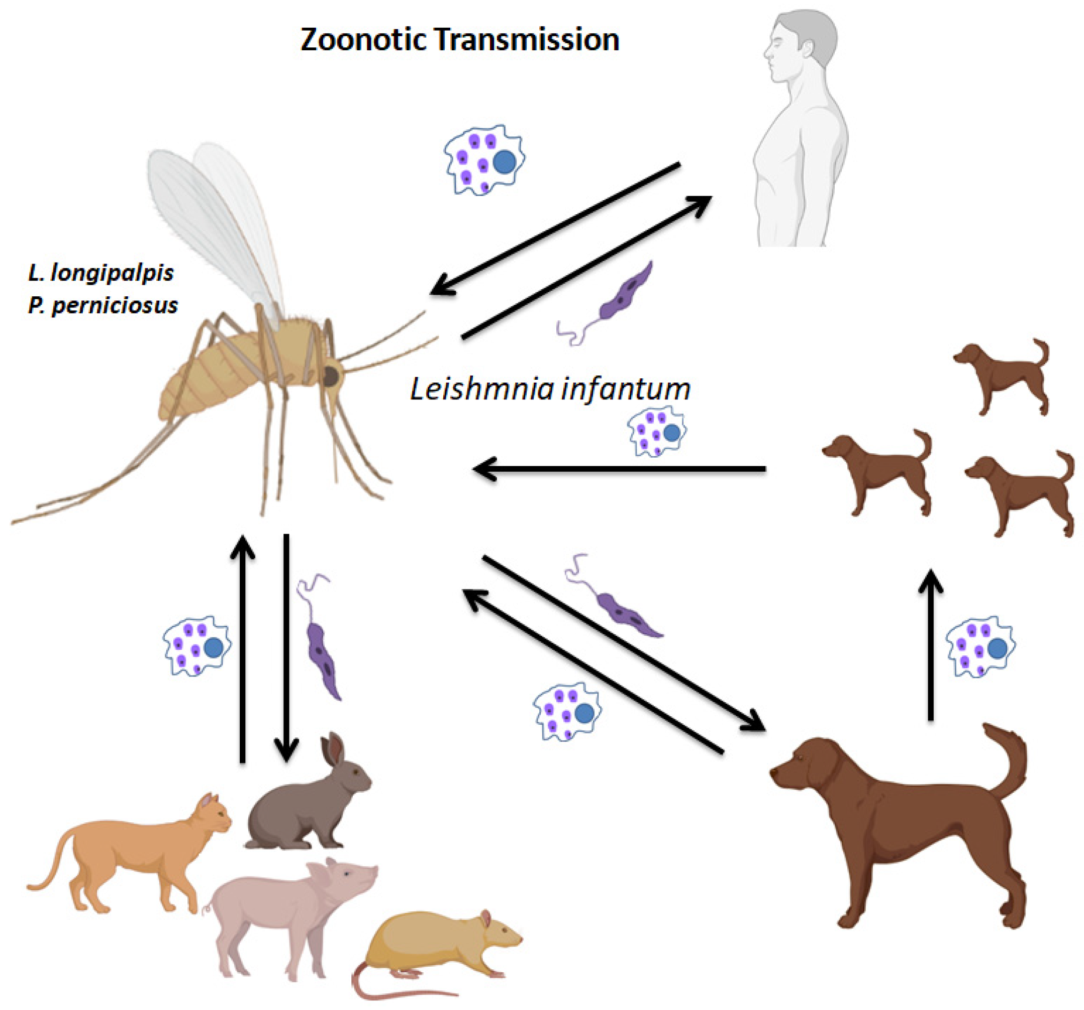 Microbiolres 15 00109 g002
