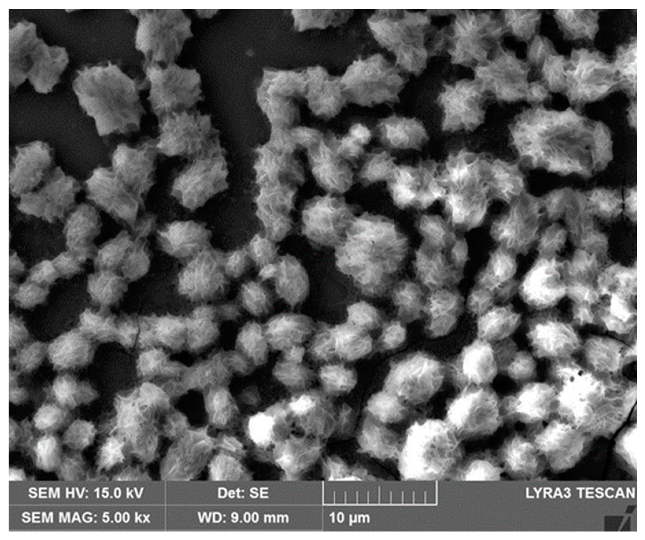 Microbiolres 15 00110 g002