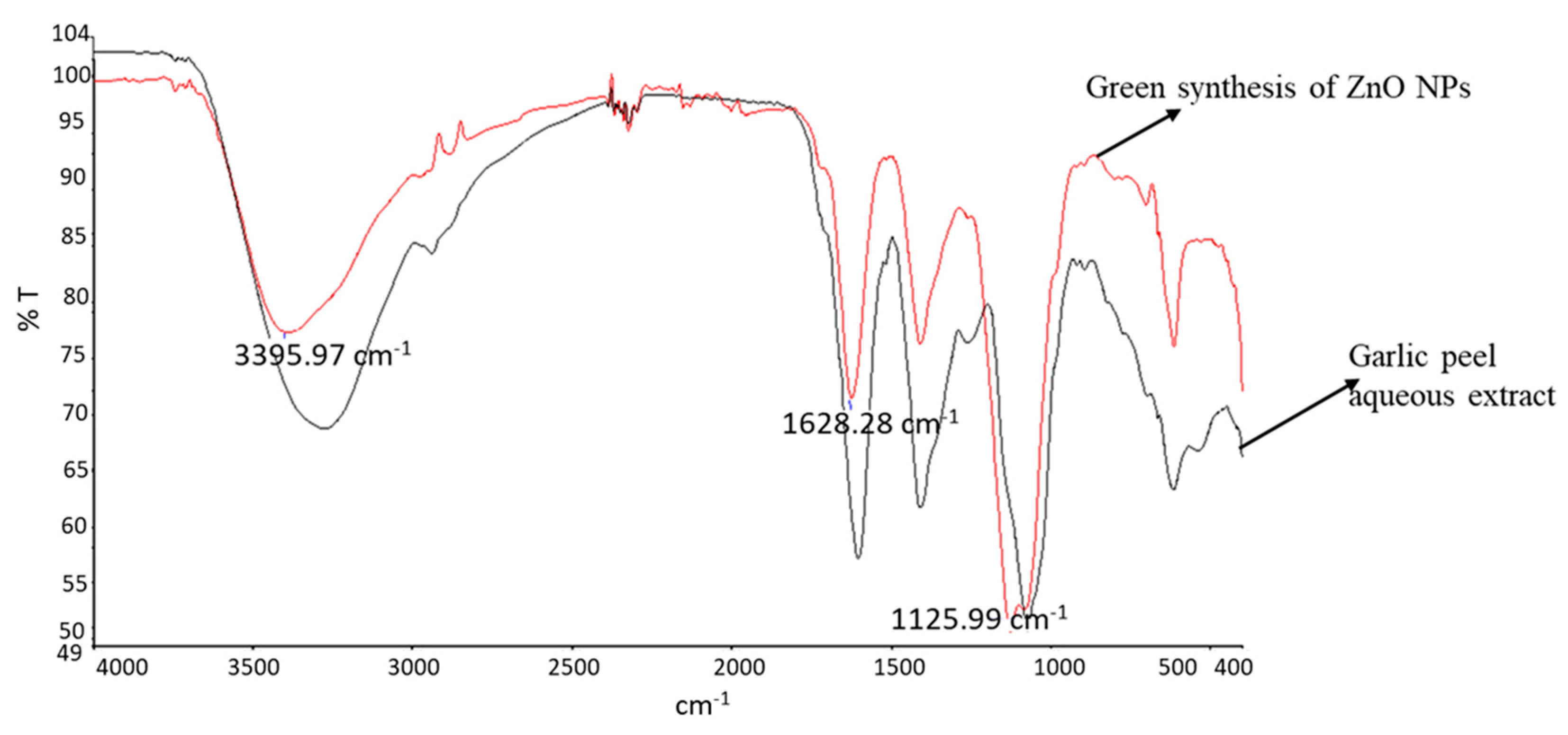 Microbiolres 15 00110 g005
