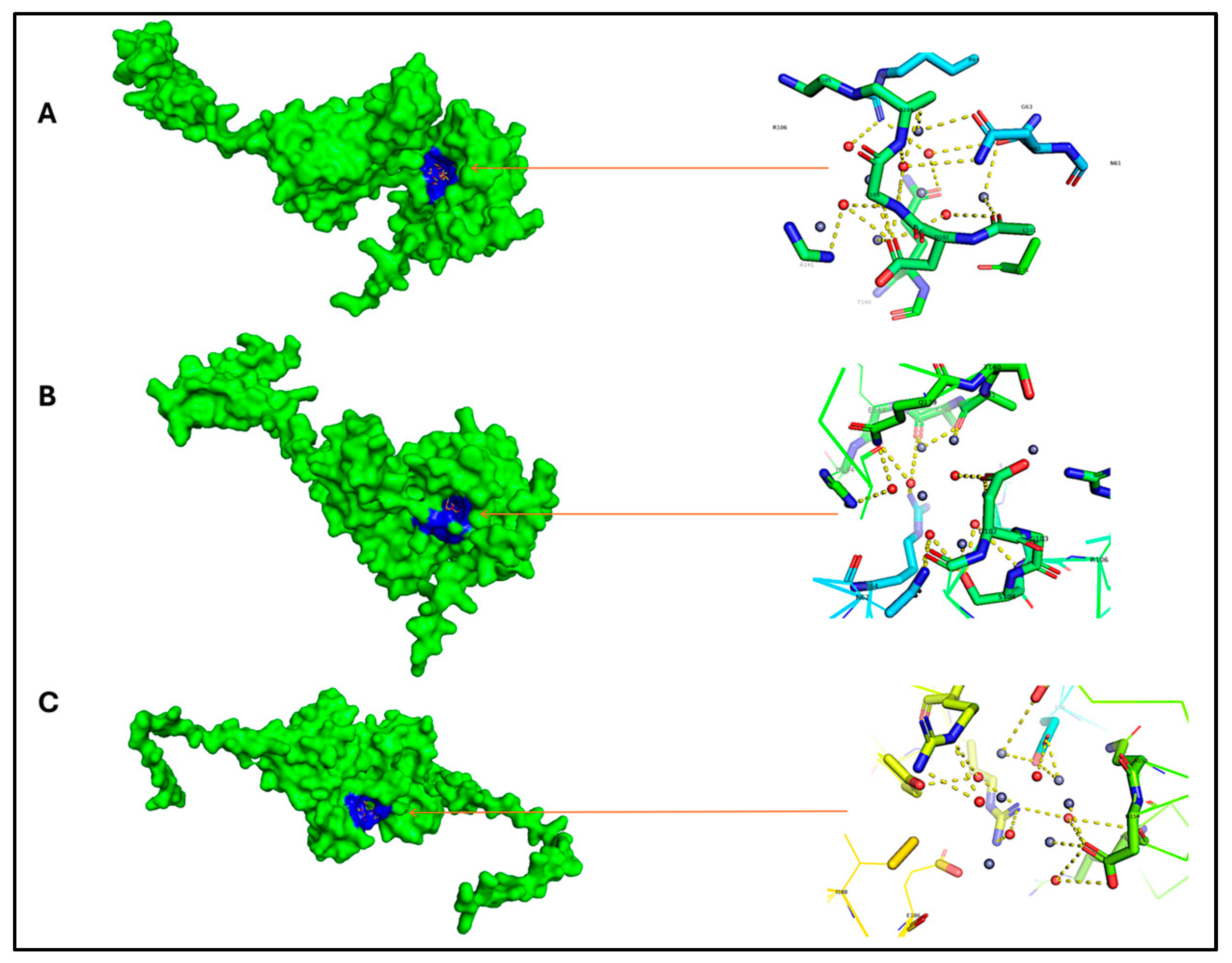 Microbiolres 15 00110 g008