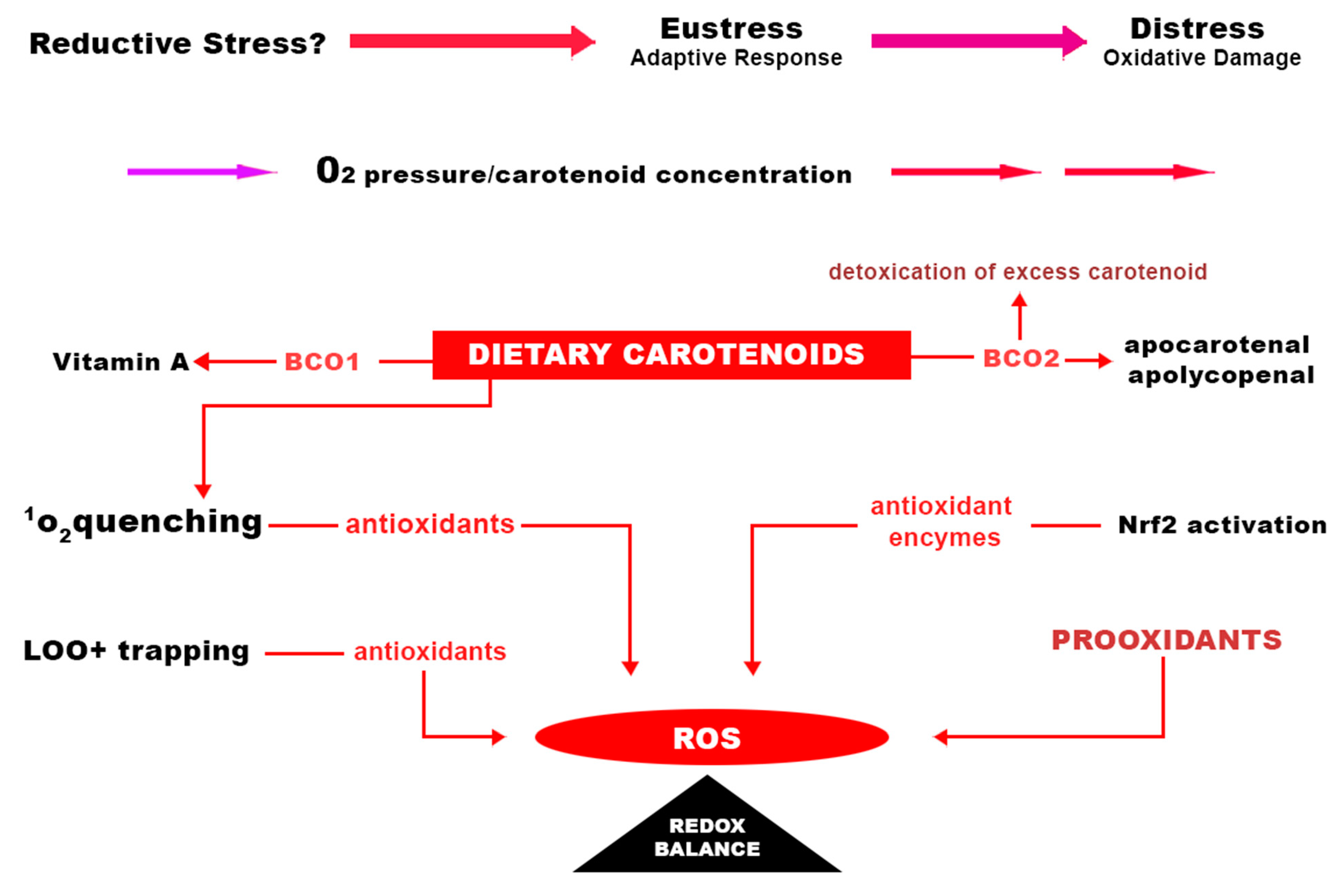 Microbiolres 15 00111 g002 Microbiolres 15 00111 g002