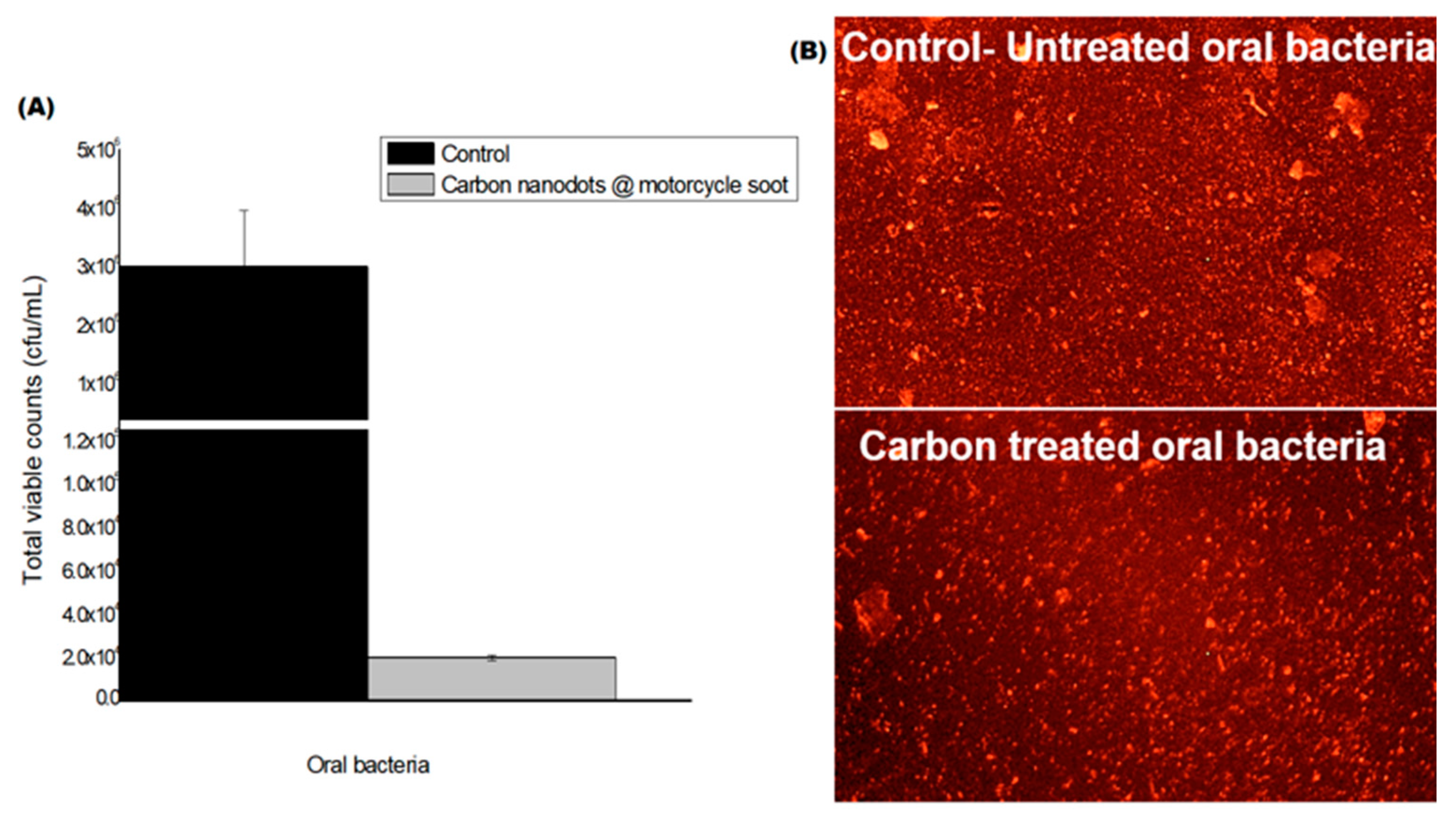 Microbiolres 15 00115 g005