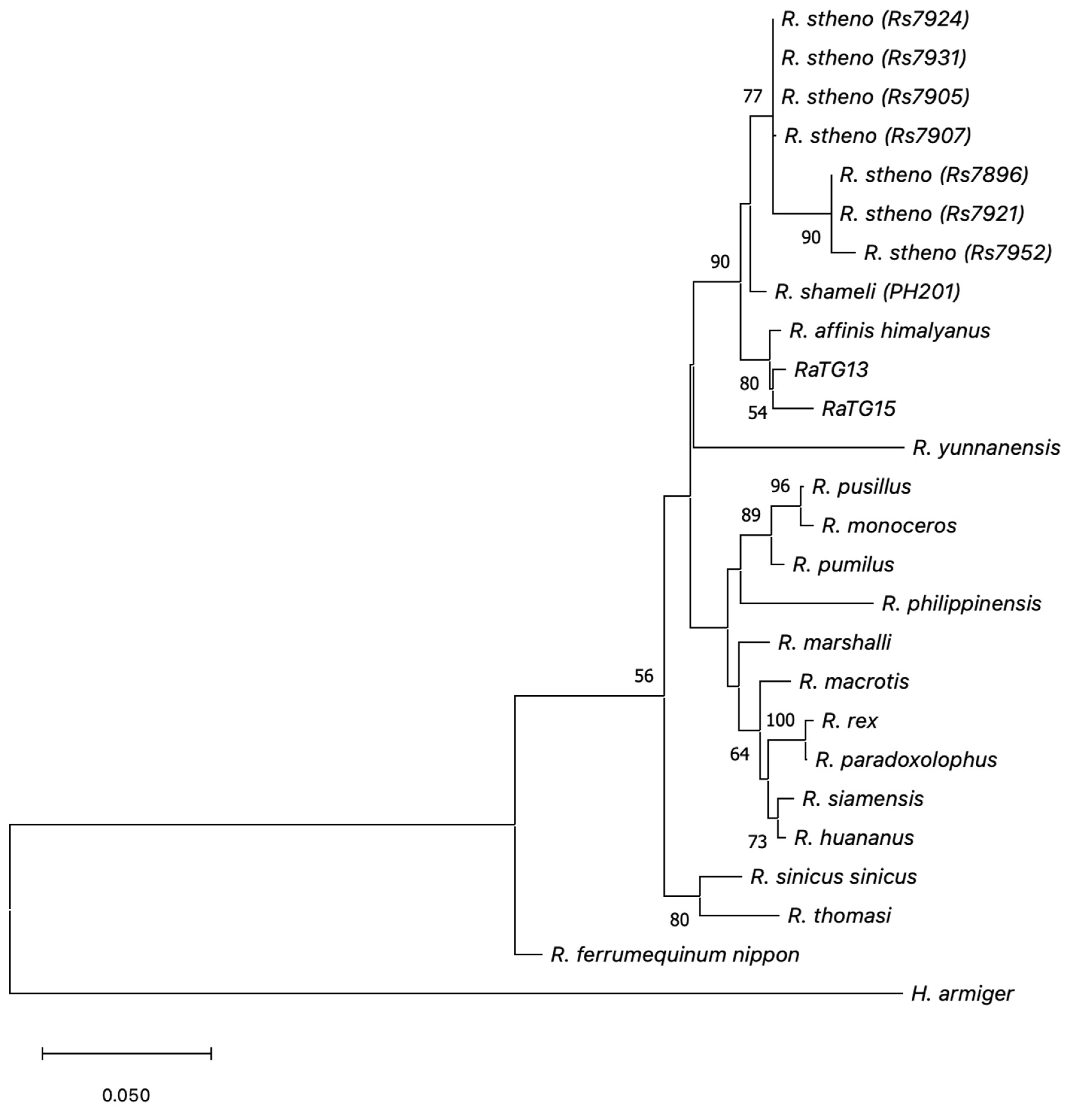 Microbiolres 15 00119 g002 Microbiolres 15 00119 g002