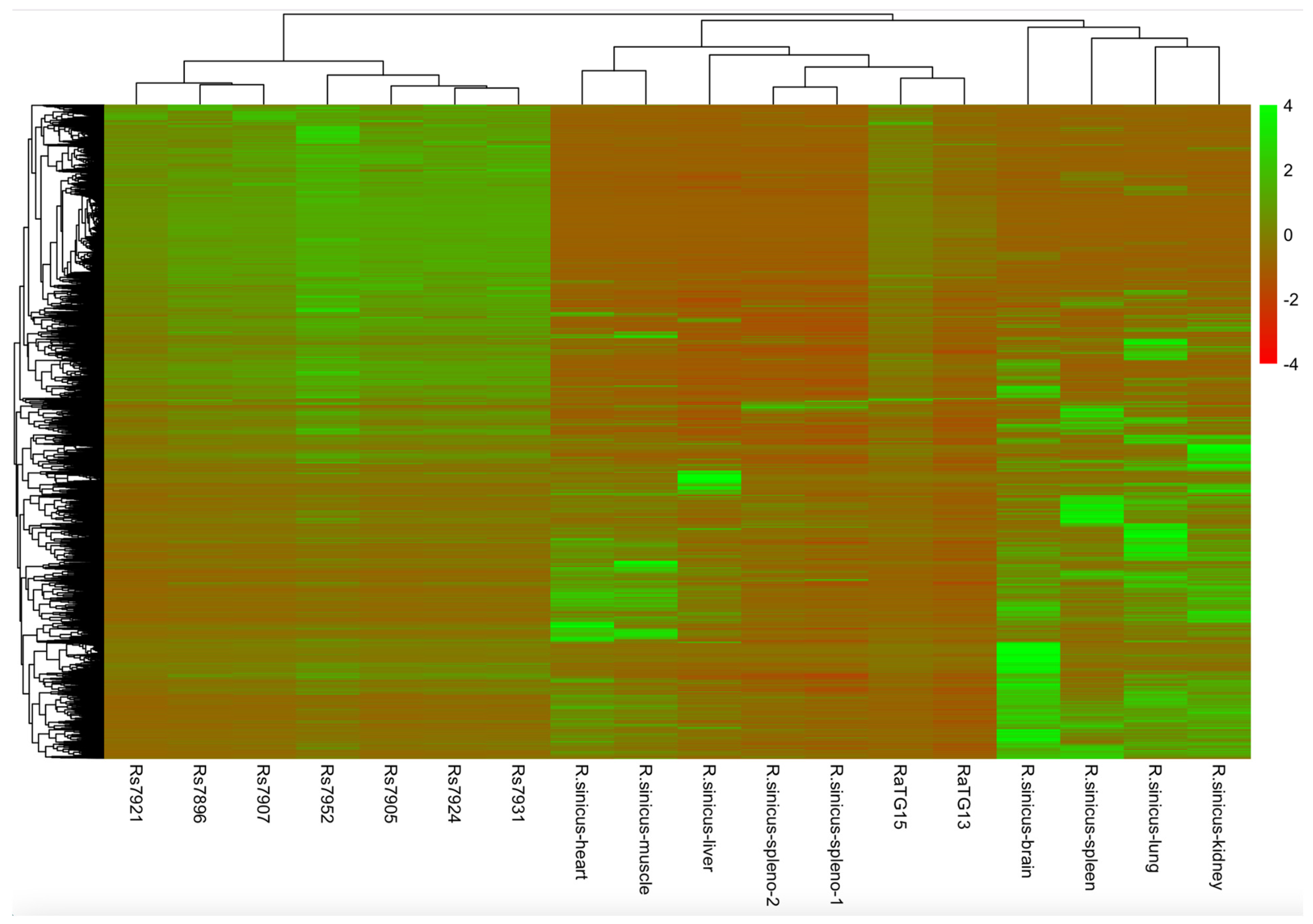 Microbiolres 15 00119 g003 Microbiolres 15 00119 g003