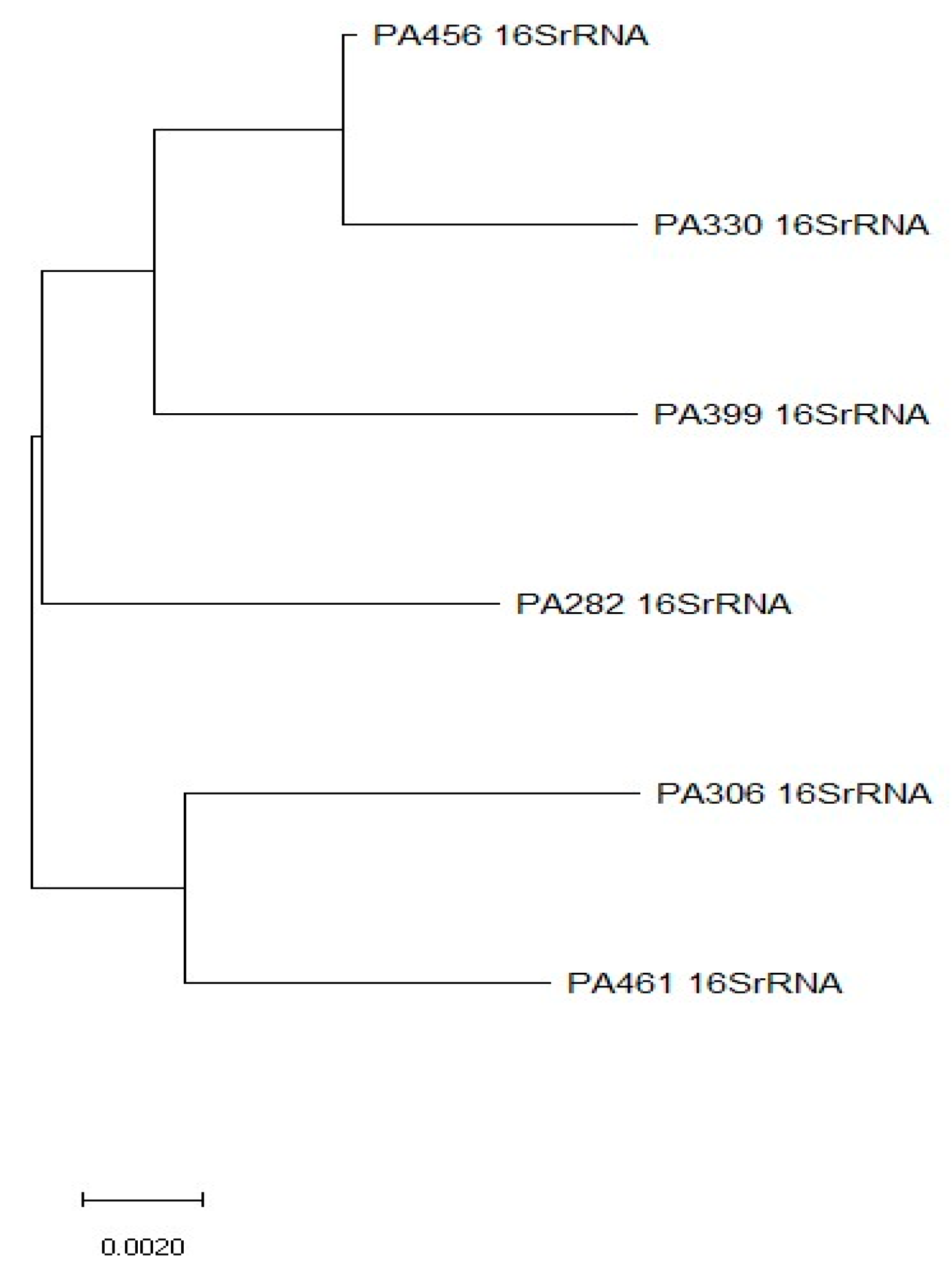 Microbiolres 15 00121 g006 Microbiolres 15 00121 g006