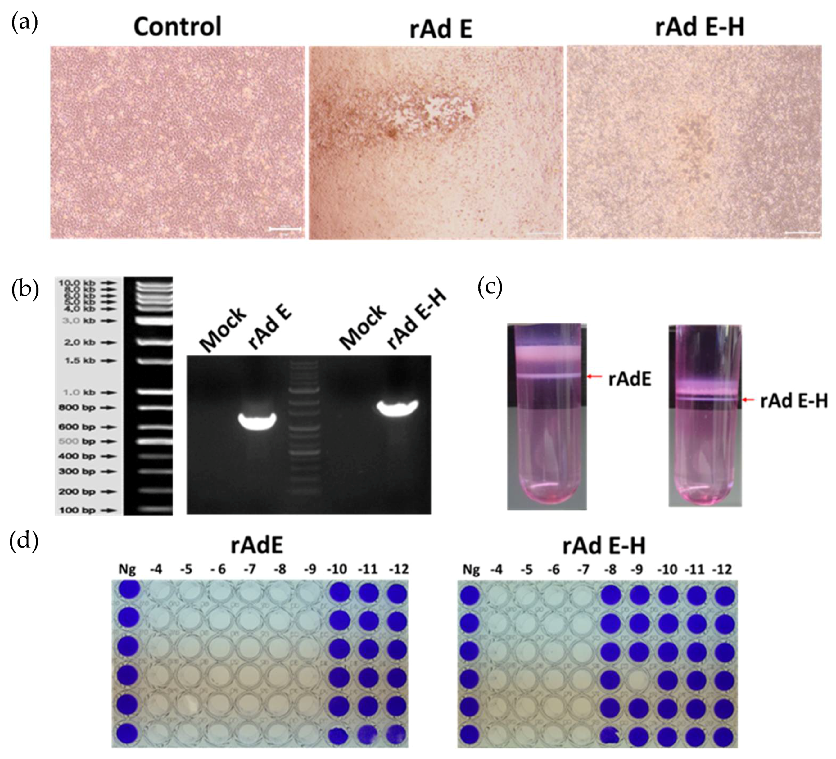 Microbiolres 15 00128 g002