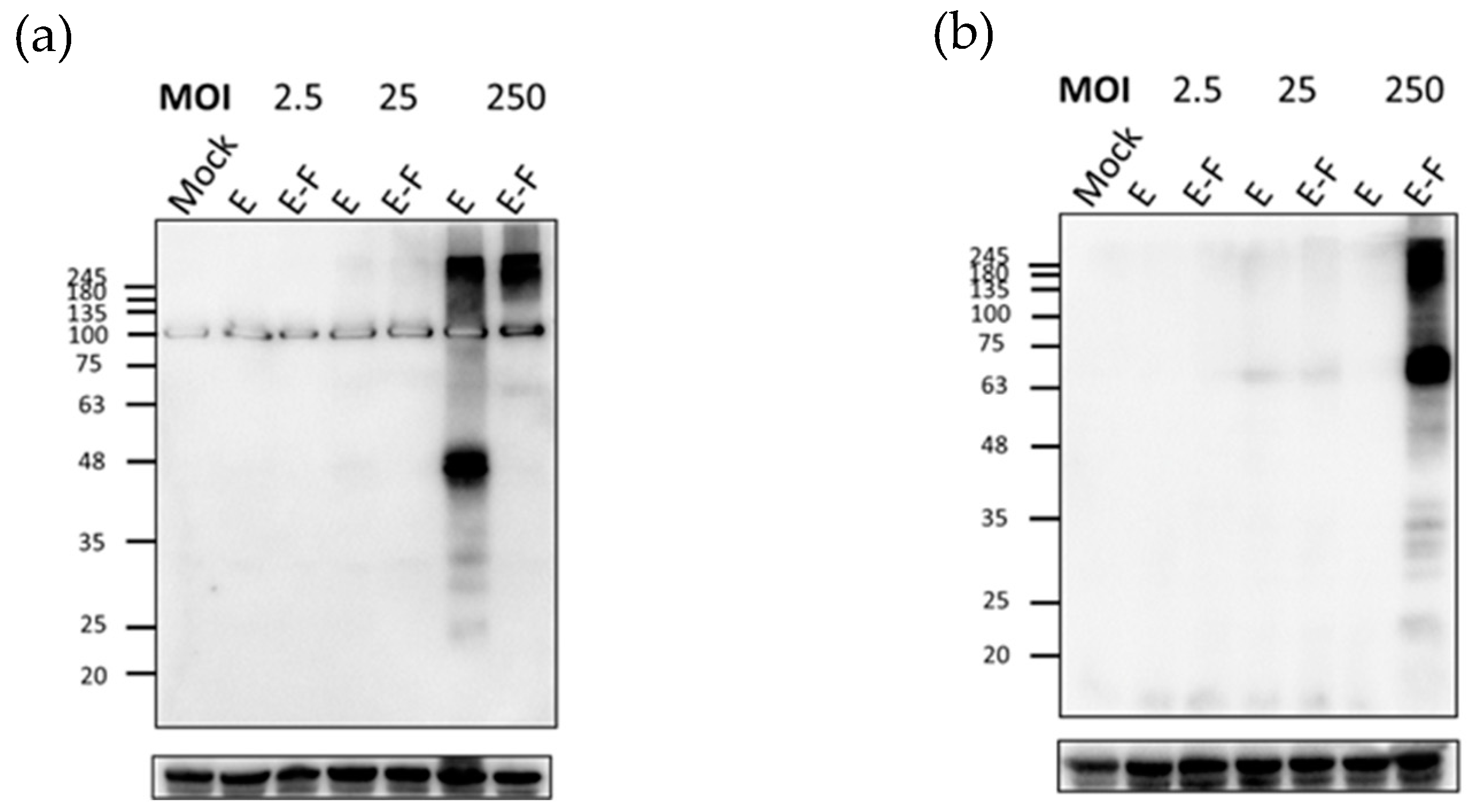 Microbiolres 15 00128 g003