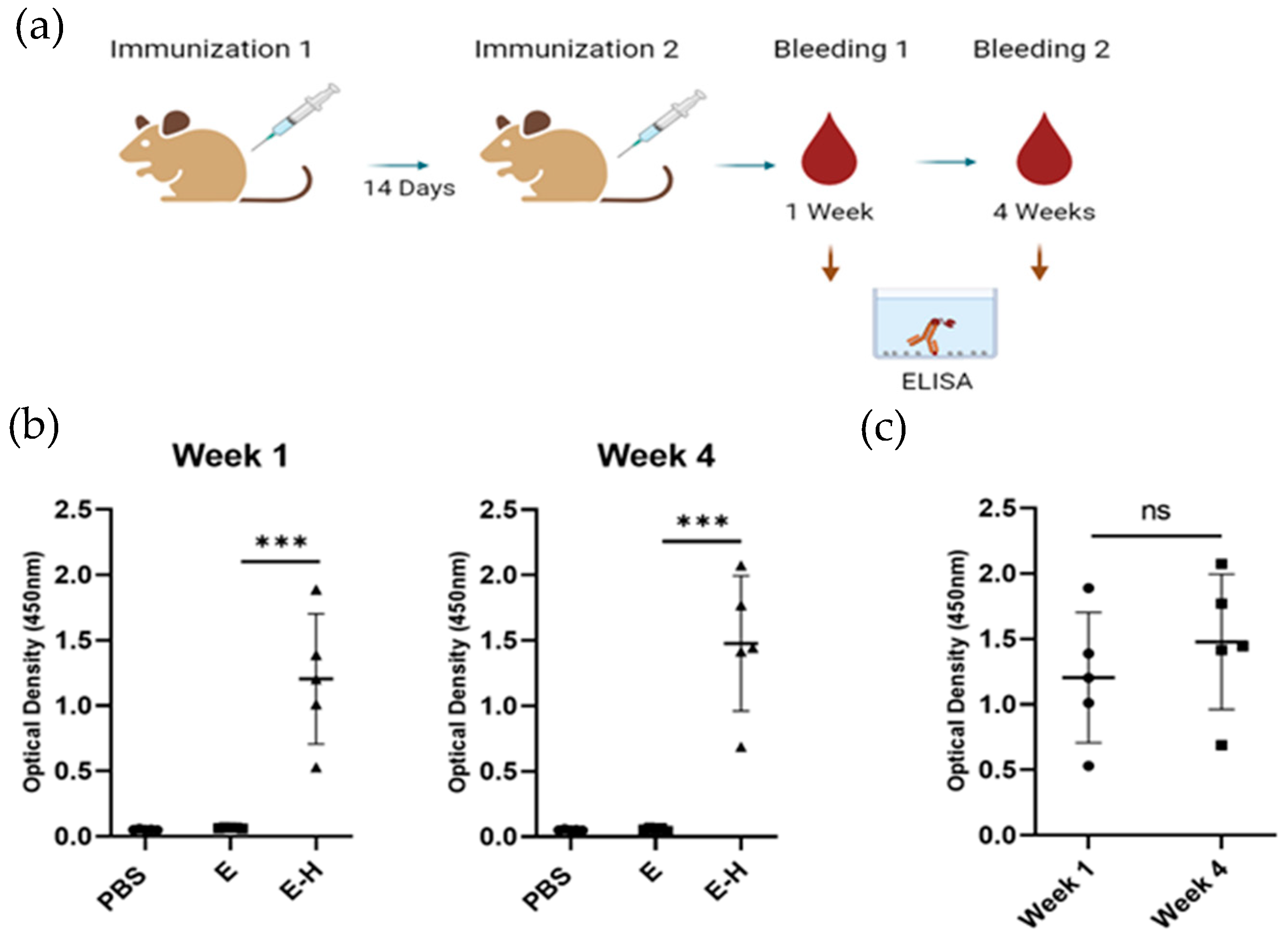 Microbiolres 15 00128 g004