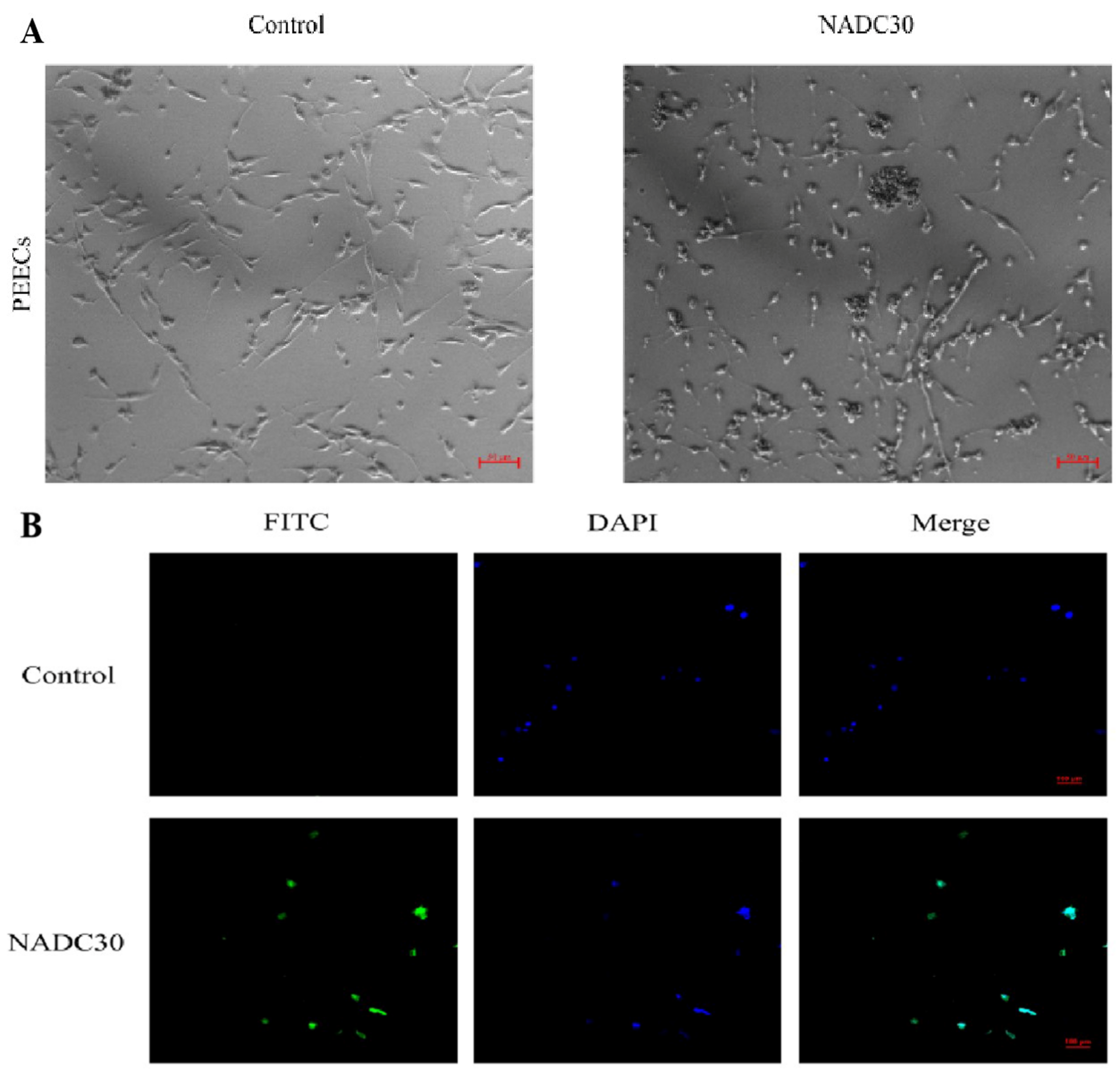 Microbiolres 15 00129 g001