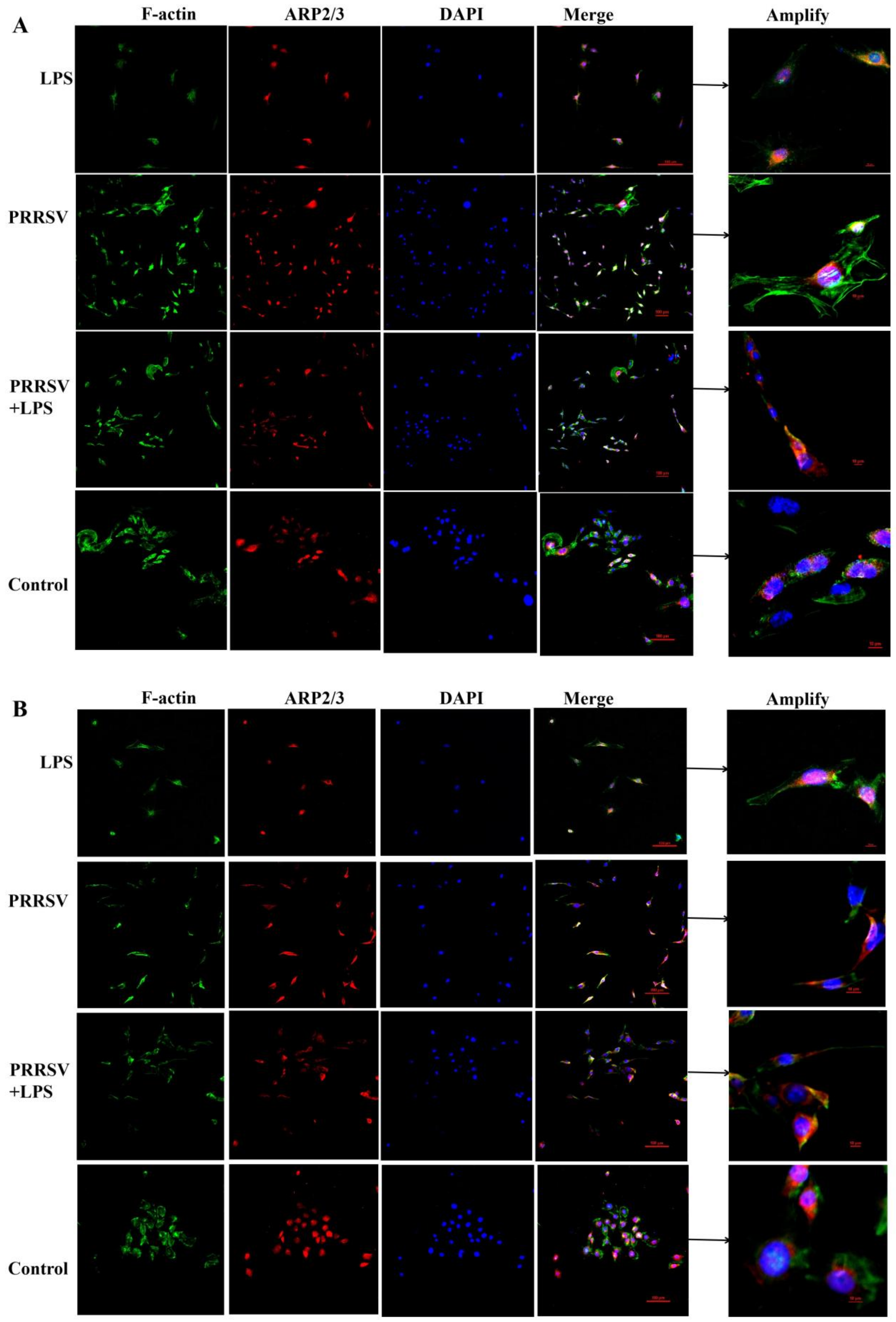 Microbiolres 15 00129 g004a