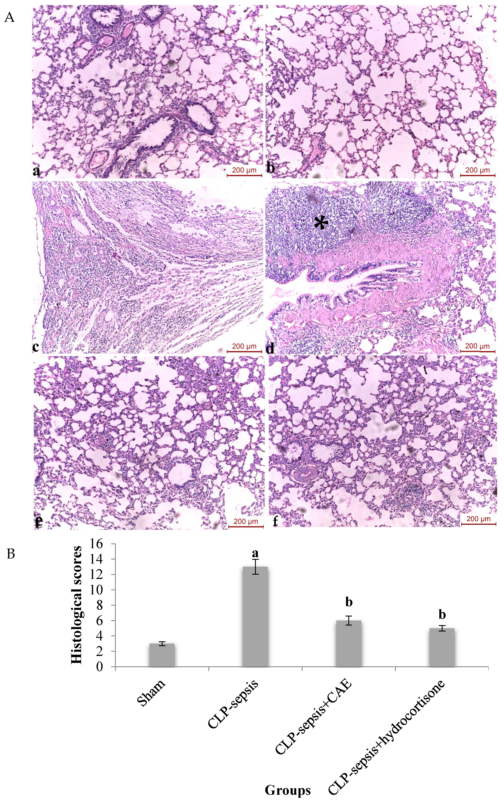 Microbiolres 15 00130 g018 Microbiolres 15 00130 g018