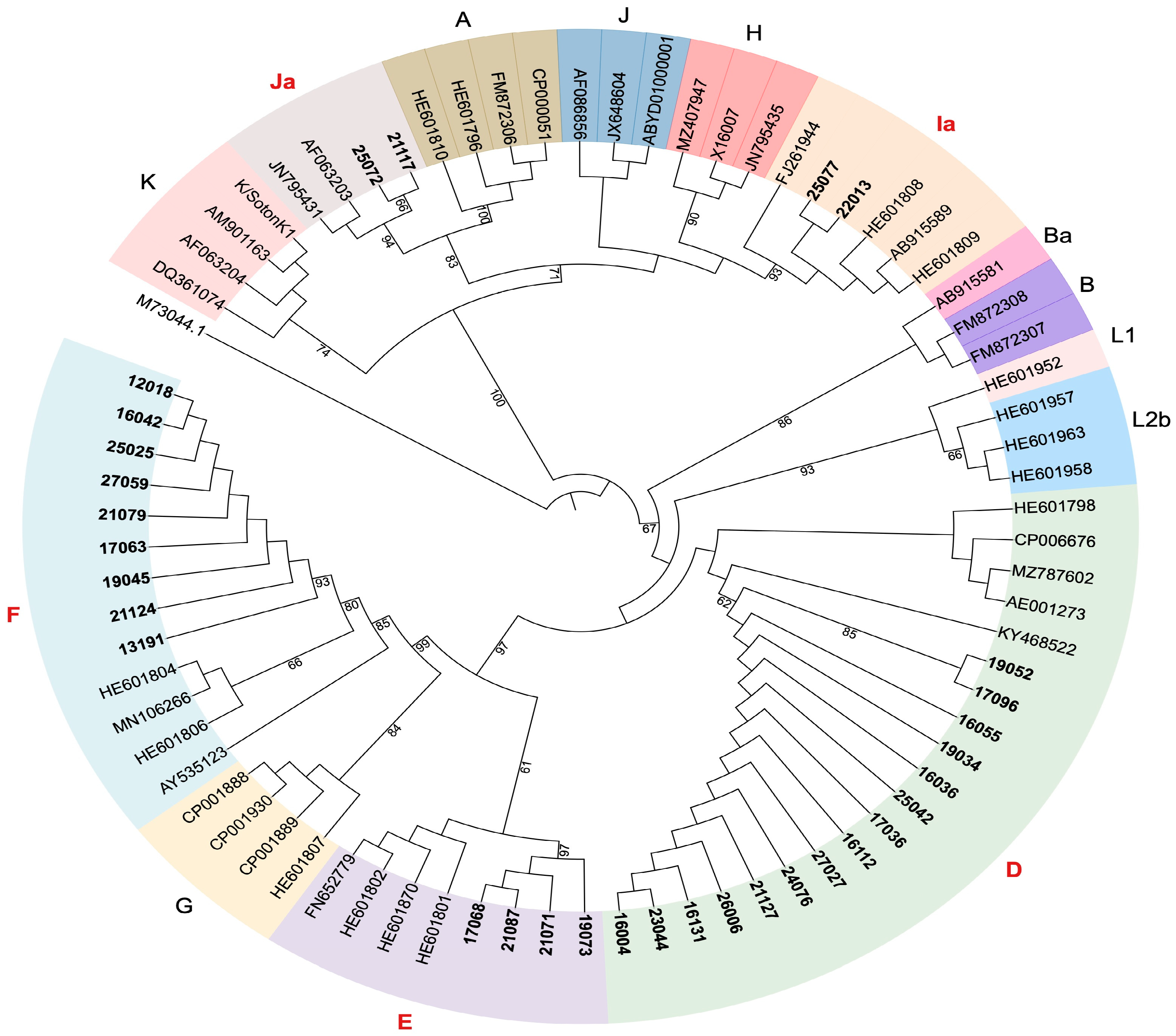 Microbiolres 15 00134 g001 Microbiolres 15 00134 g001