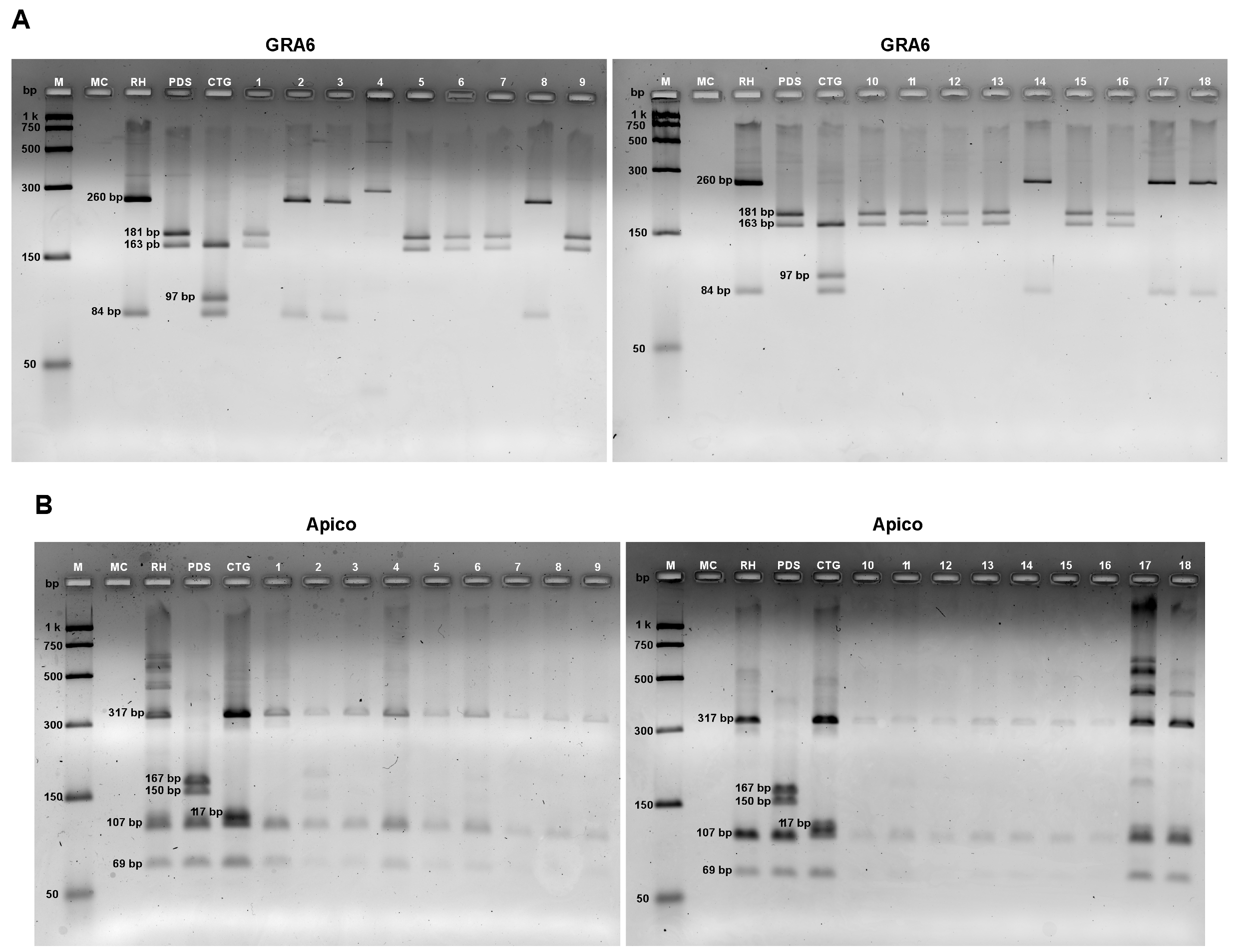 Microbiolres 15 00136 g003